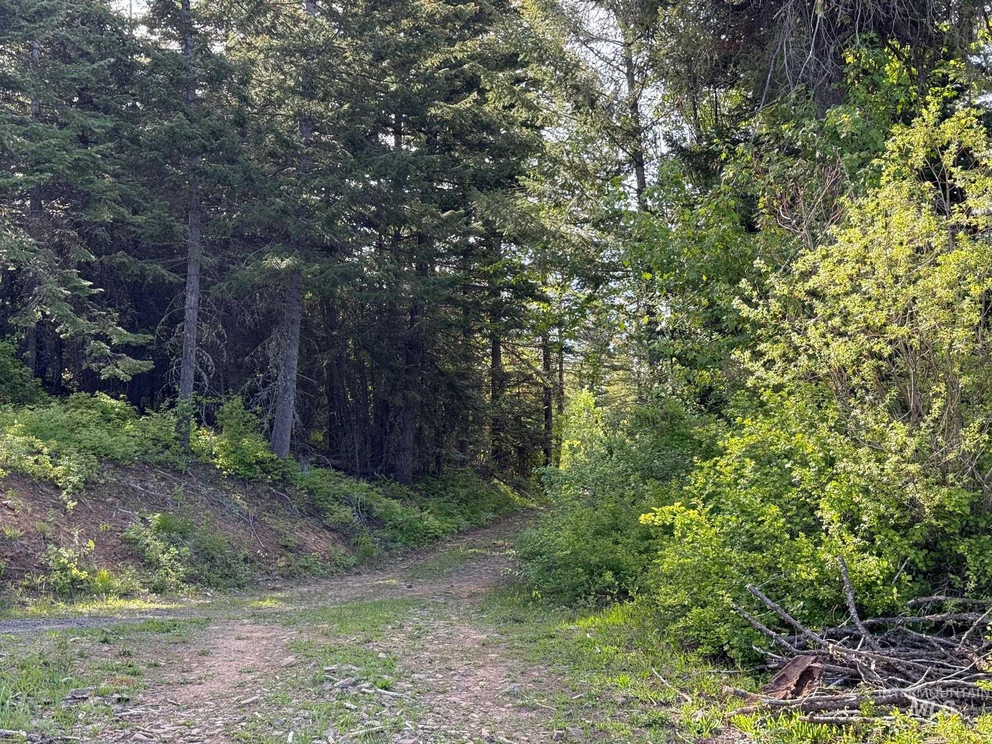 Tbd Grangeville Salmon Rd Property Photo 43