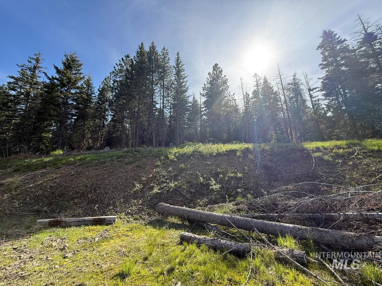 Tbd Grangeville Salmon Rd Property Photo 45