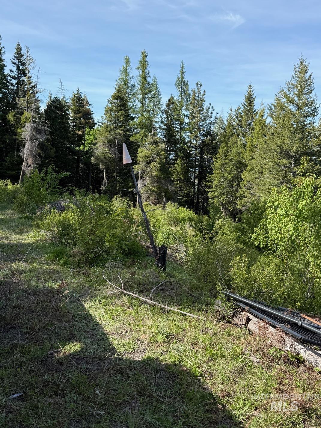 Tbd Grangeville Salmon Rd Property Photo 46
