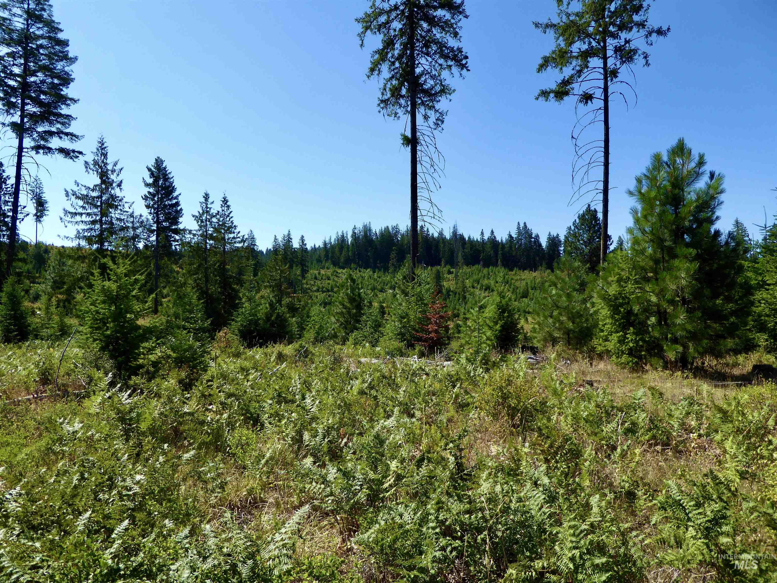 Tbd Peaceful Valley Rd Lots 7 & 8 Property Photo 1