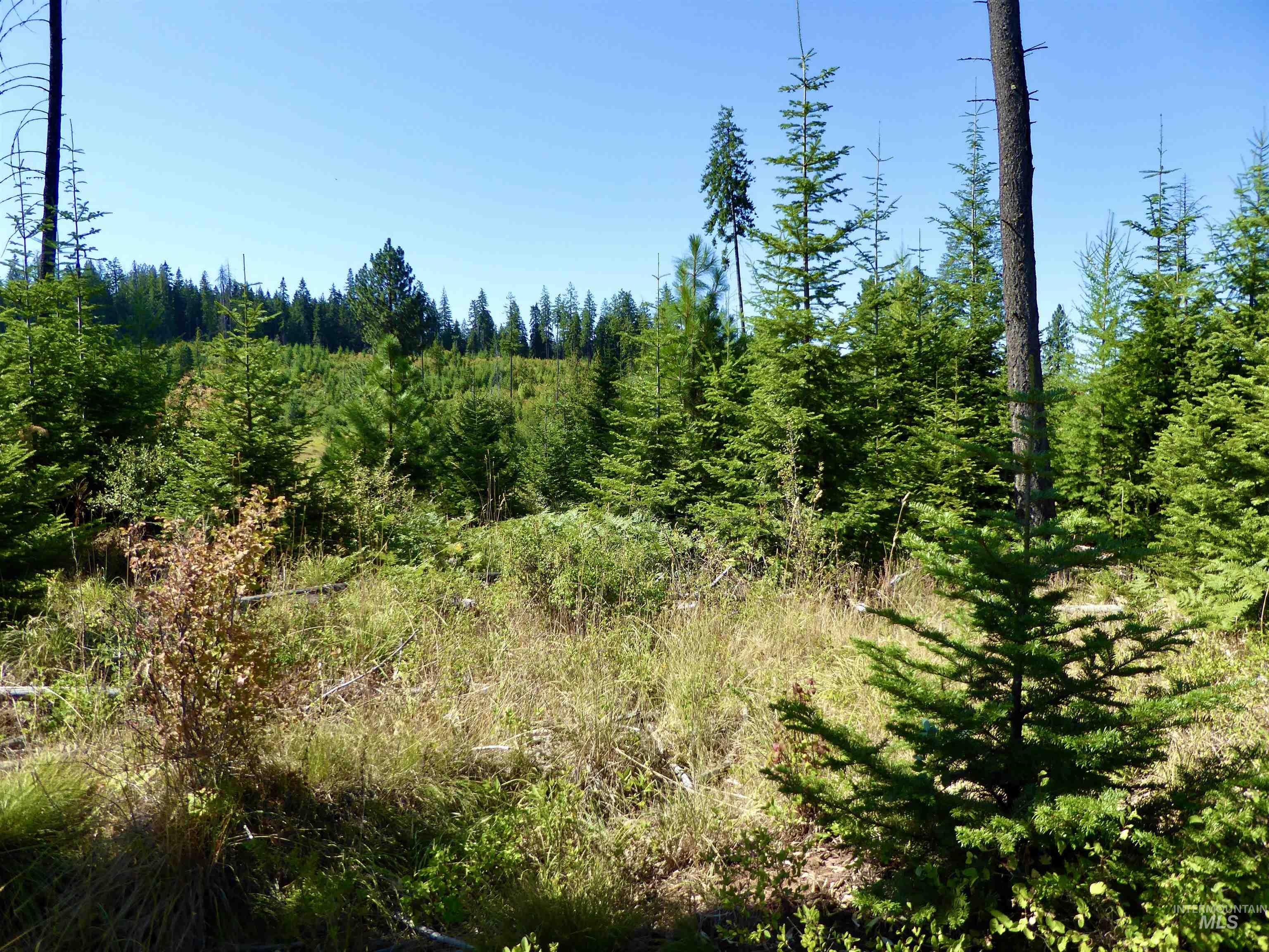 Tbd Peaceful Valley Rd Lots 7 & 8 Property Photo 2