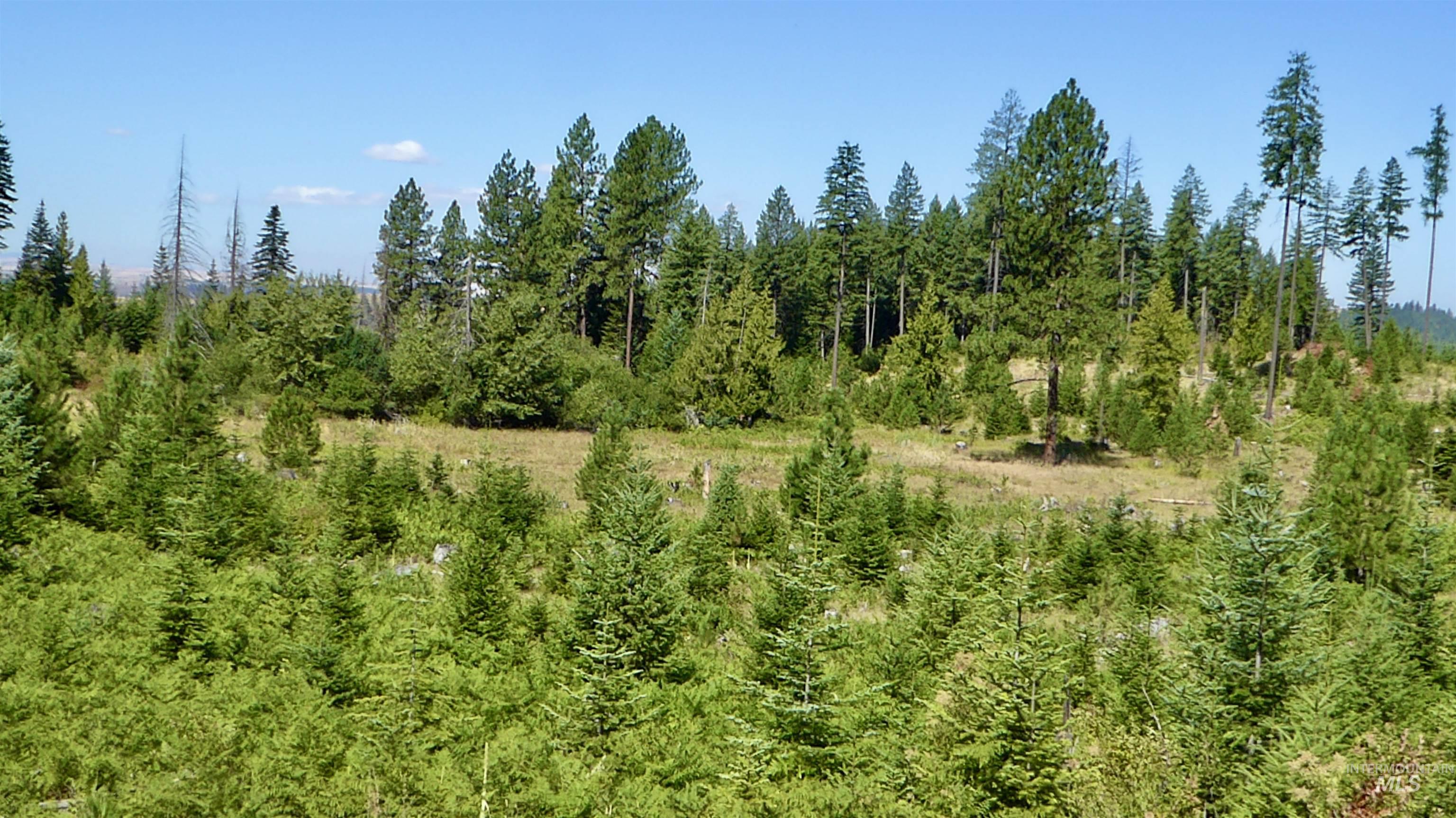 Tbd Peaceful Valley Rd Lots 7 & 8 Property Photo 3