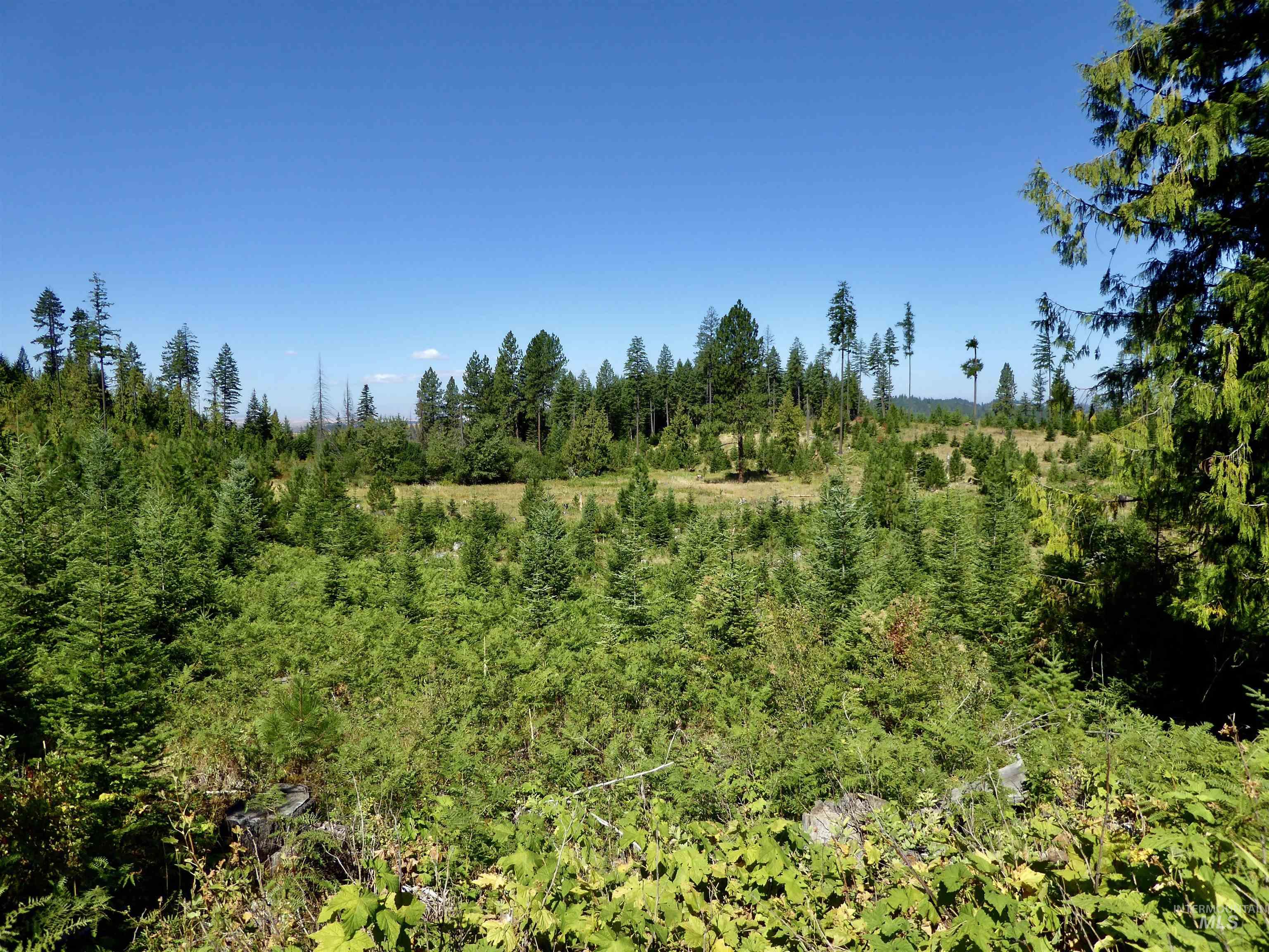 Tbd Peaceful Valley Rd Lots 7 & 8 Property Photo 4