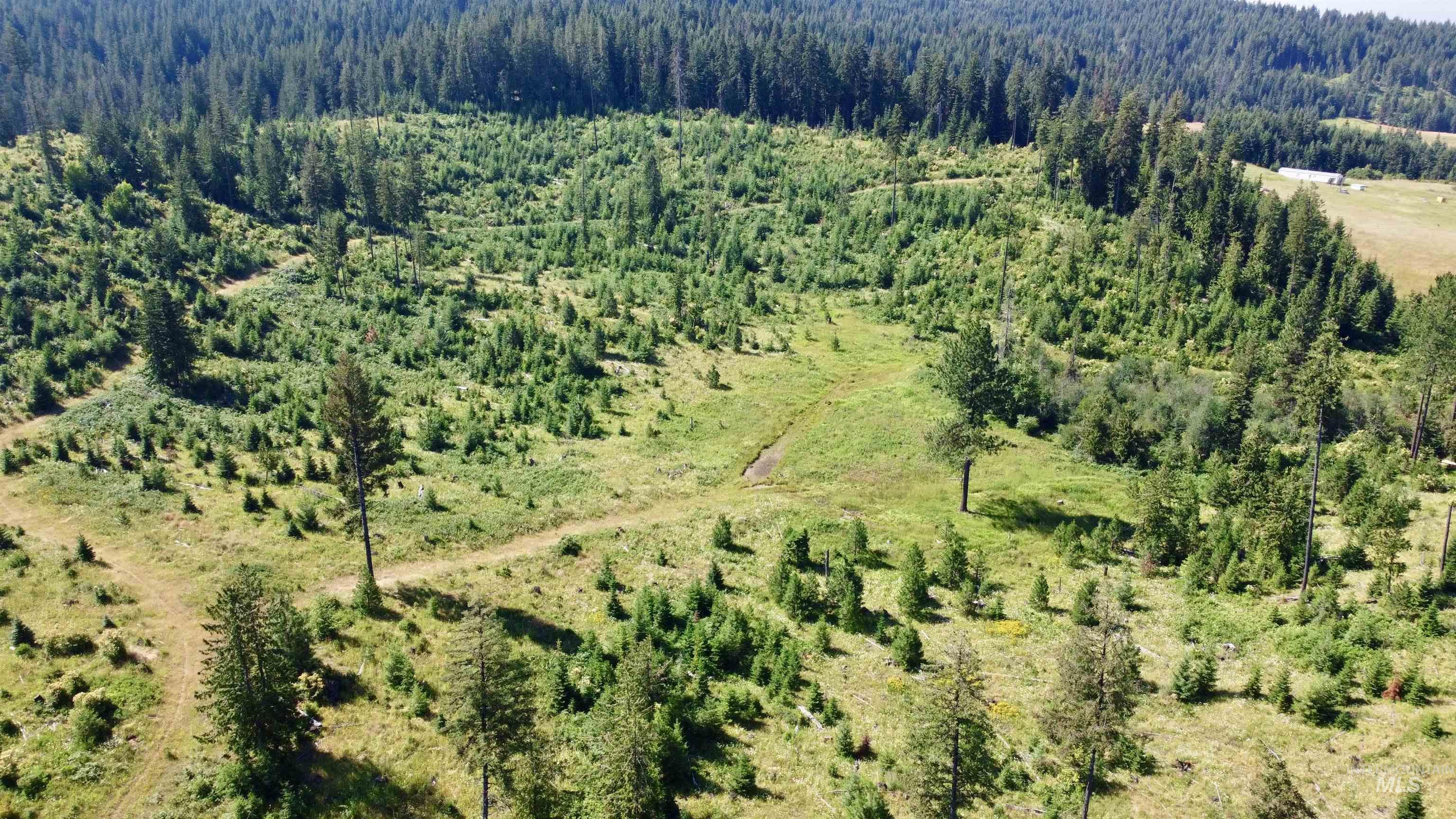 Tbd Peaceful Valley Rd Lots 7 & 8 Property Photo 7