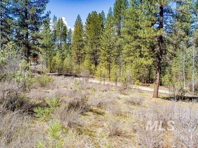 Tbd Meadow Lark Circle Property Photo 43