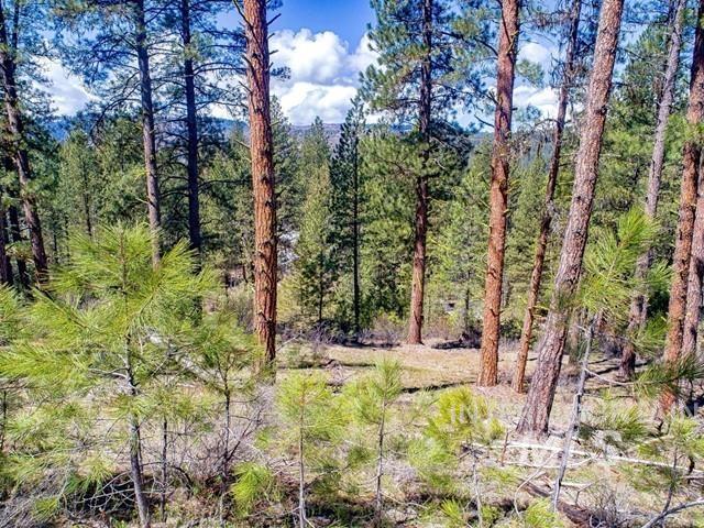 Tbd Meadow Lark Circle Property Photo 48