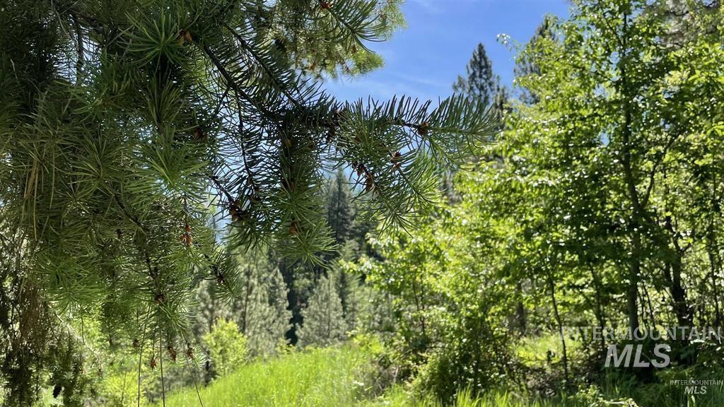 Tbd Saddle Ridge Rd Property Photo 6