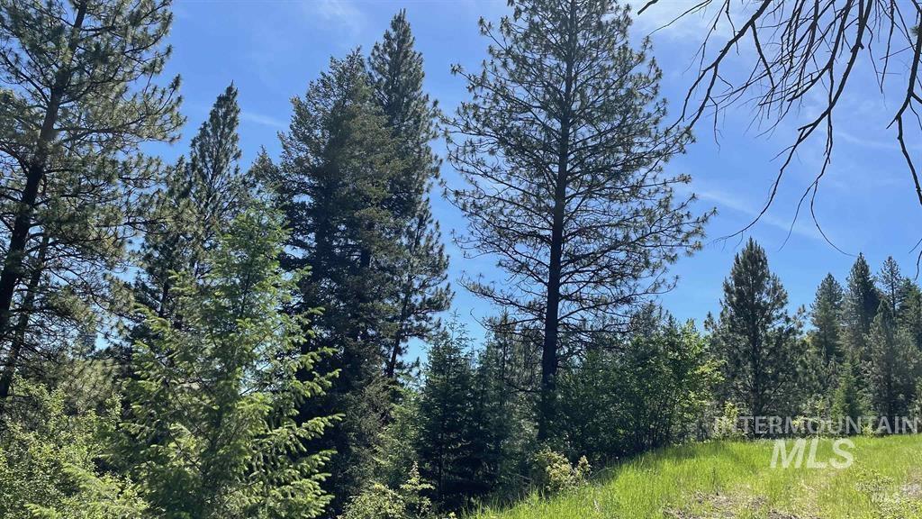 Tbd Saddle Ridge Rd Property Photo 7