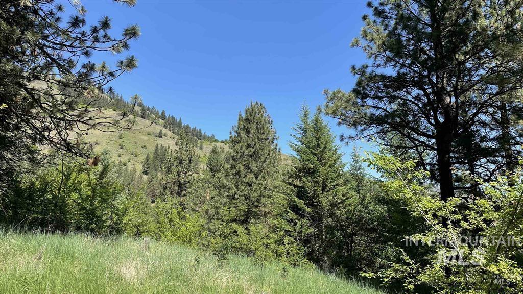Tbd Saddle Ridge Rd Property Photo 8