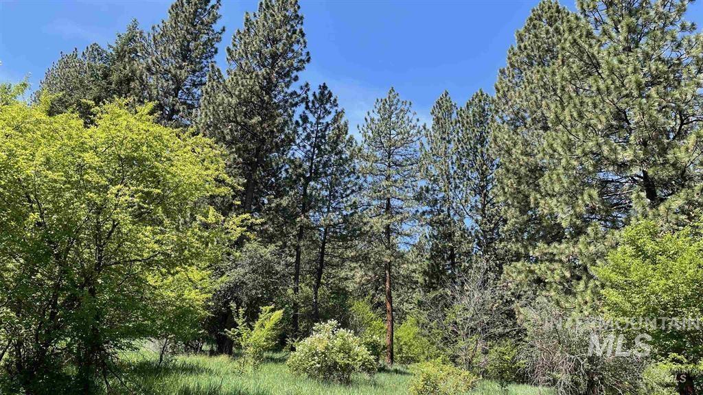 Tbd Saddle Ridge Rd Property Photo 9