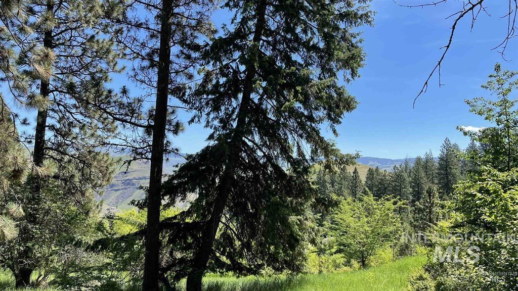 Tbd Saddle Ridge Rd Property Photo 10