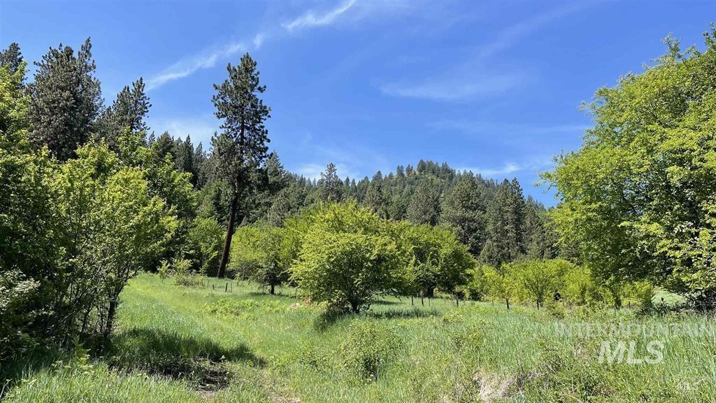 Tbd Saddle Ridge Rd Property Photo 11