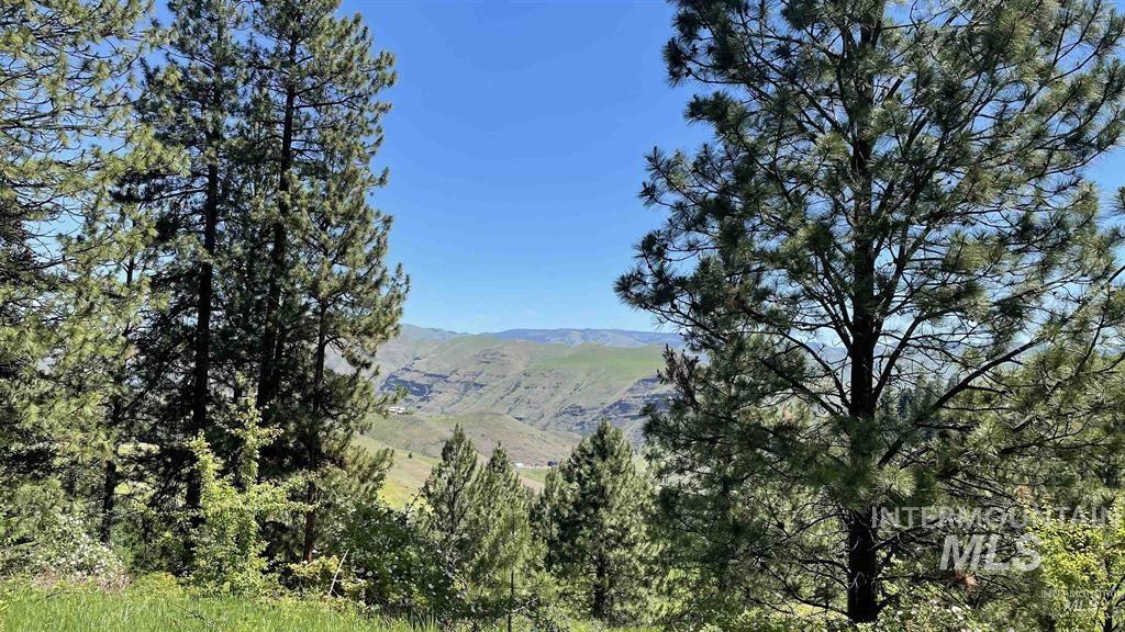 Tbd Saddle Ridge Rd Property Photo 12