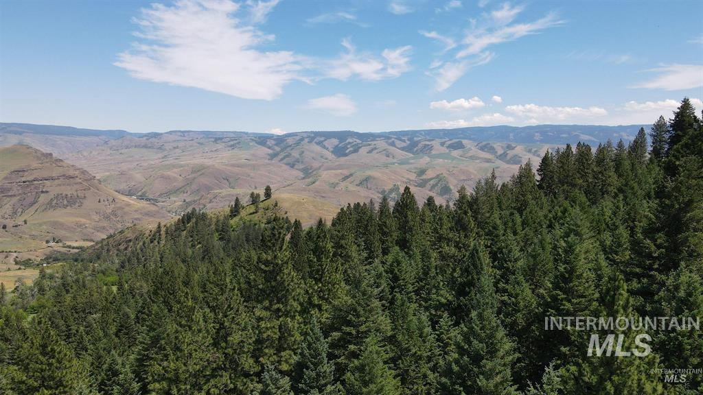 Tbd Saddle Ridge Rd Property Photo 13