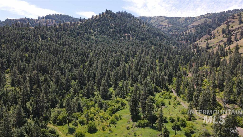 Tbd Saddle Ridge Rd Property Photo 16