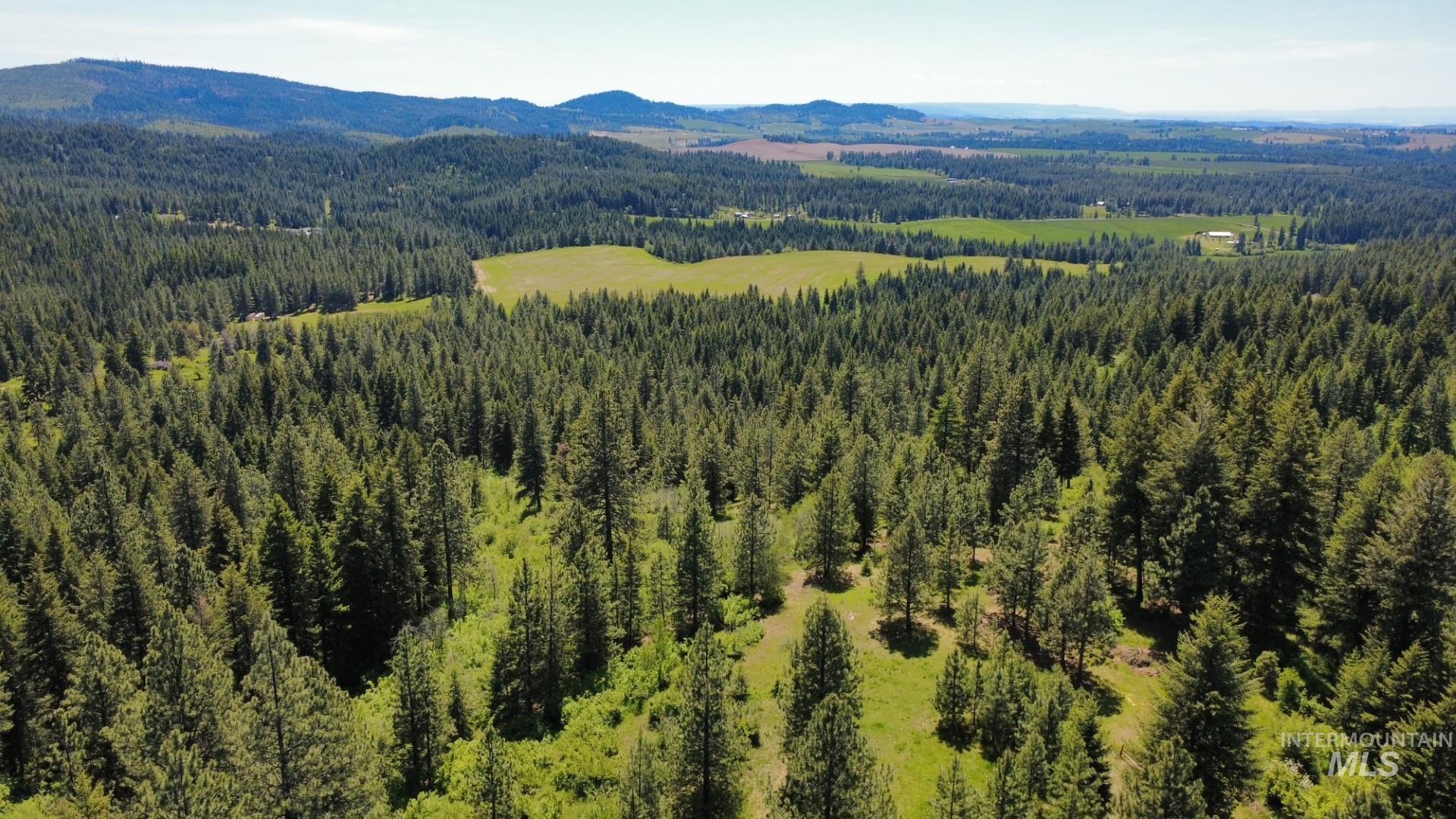 Tbd Smokey Bear Ln Property Photo 1