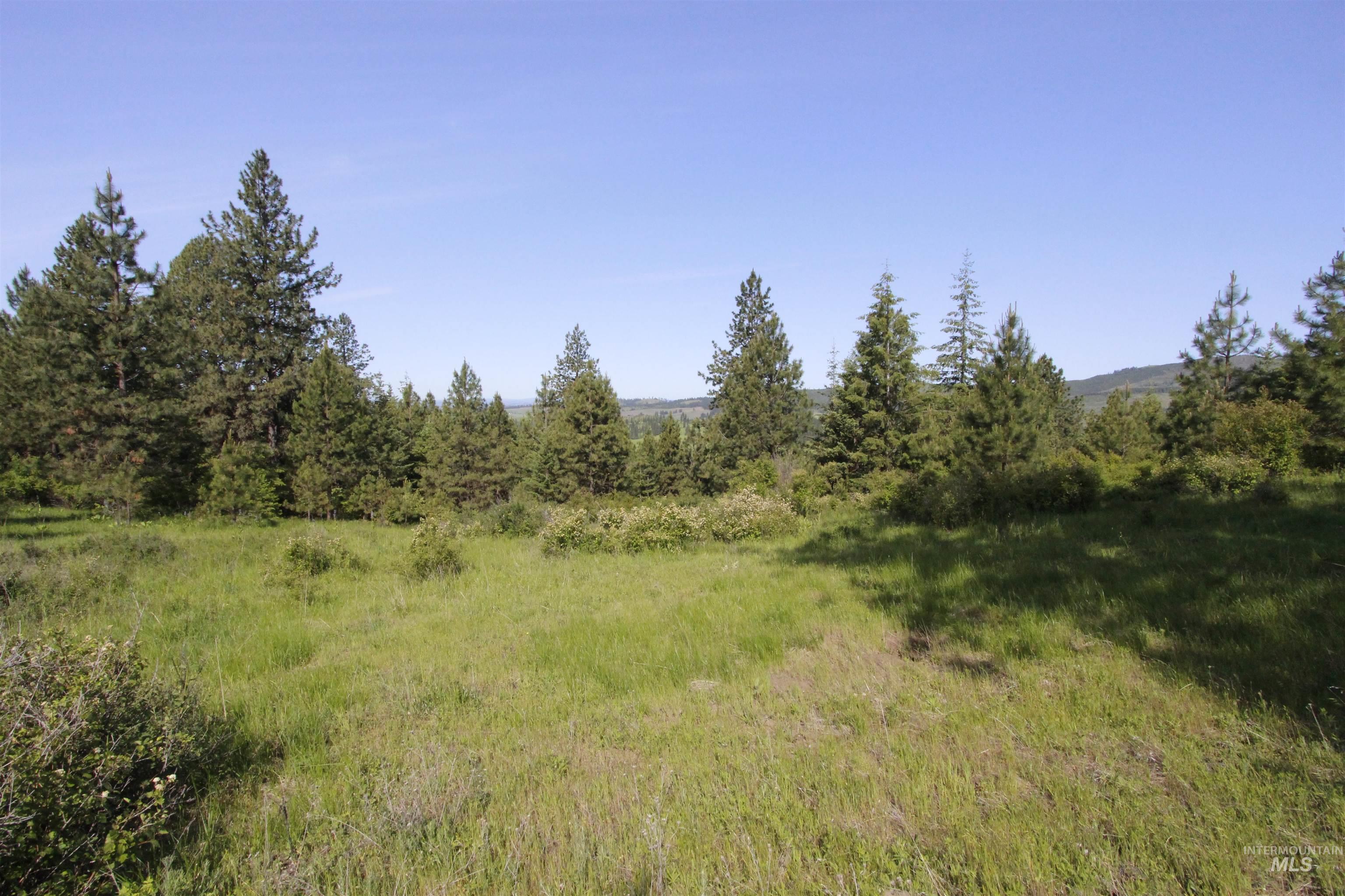 Tbd Smokey Bear Ln Property Photo 2