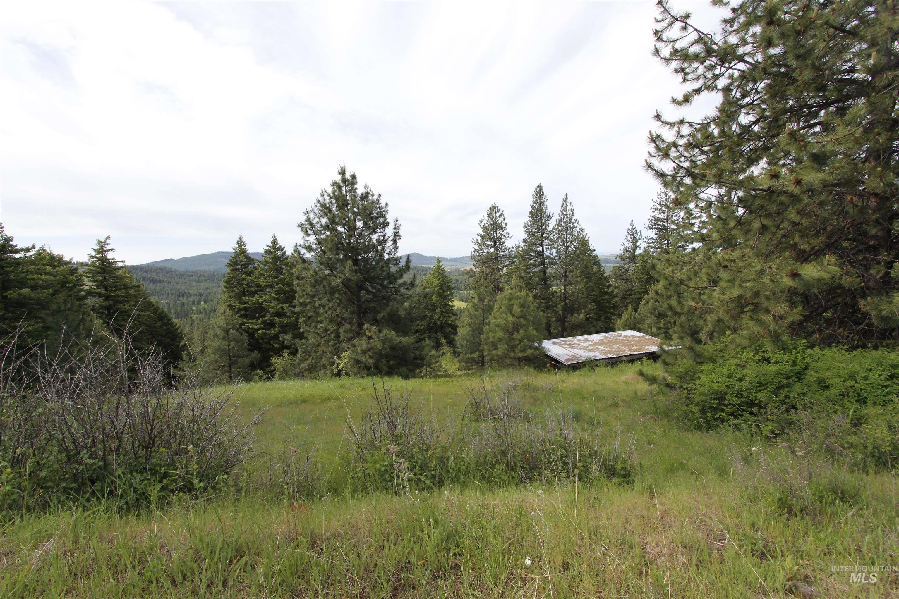 Tbd Smokey Bear Ln Property Photo 3