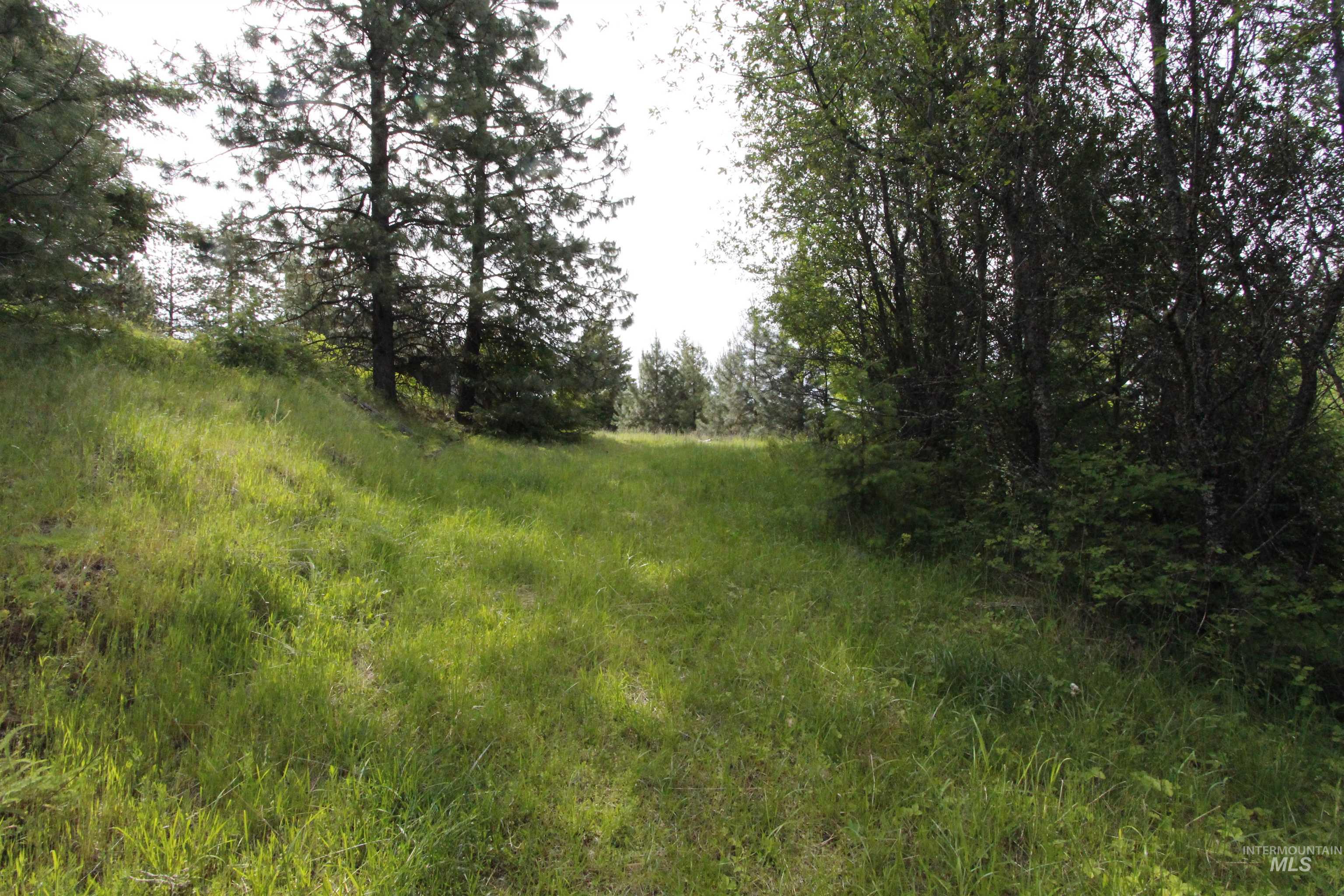 Tbd Smokey Bear Ln Property Photo 4