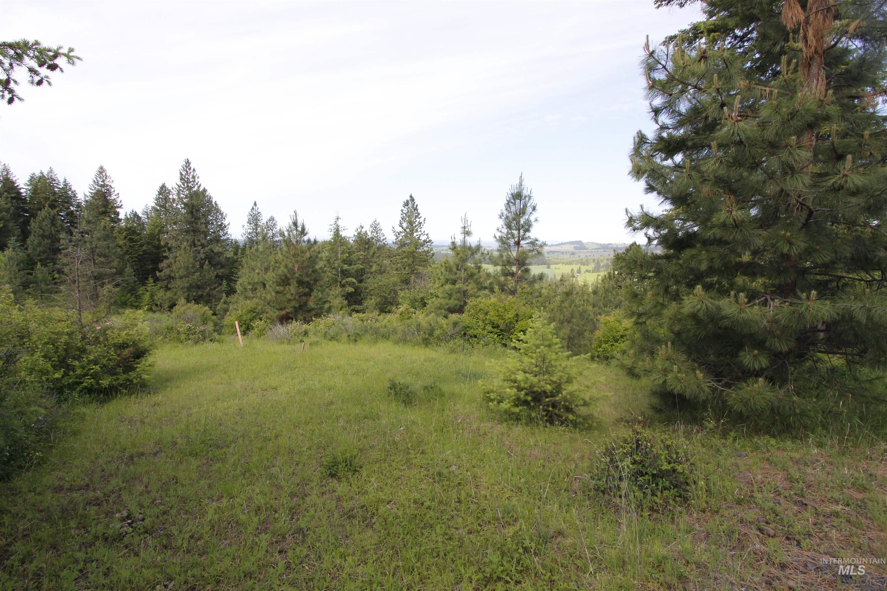 Tbd Smokey Bear Ln Property Photo 6