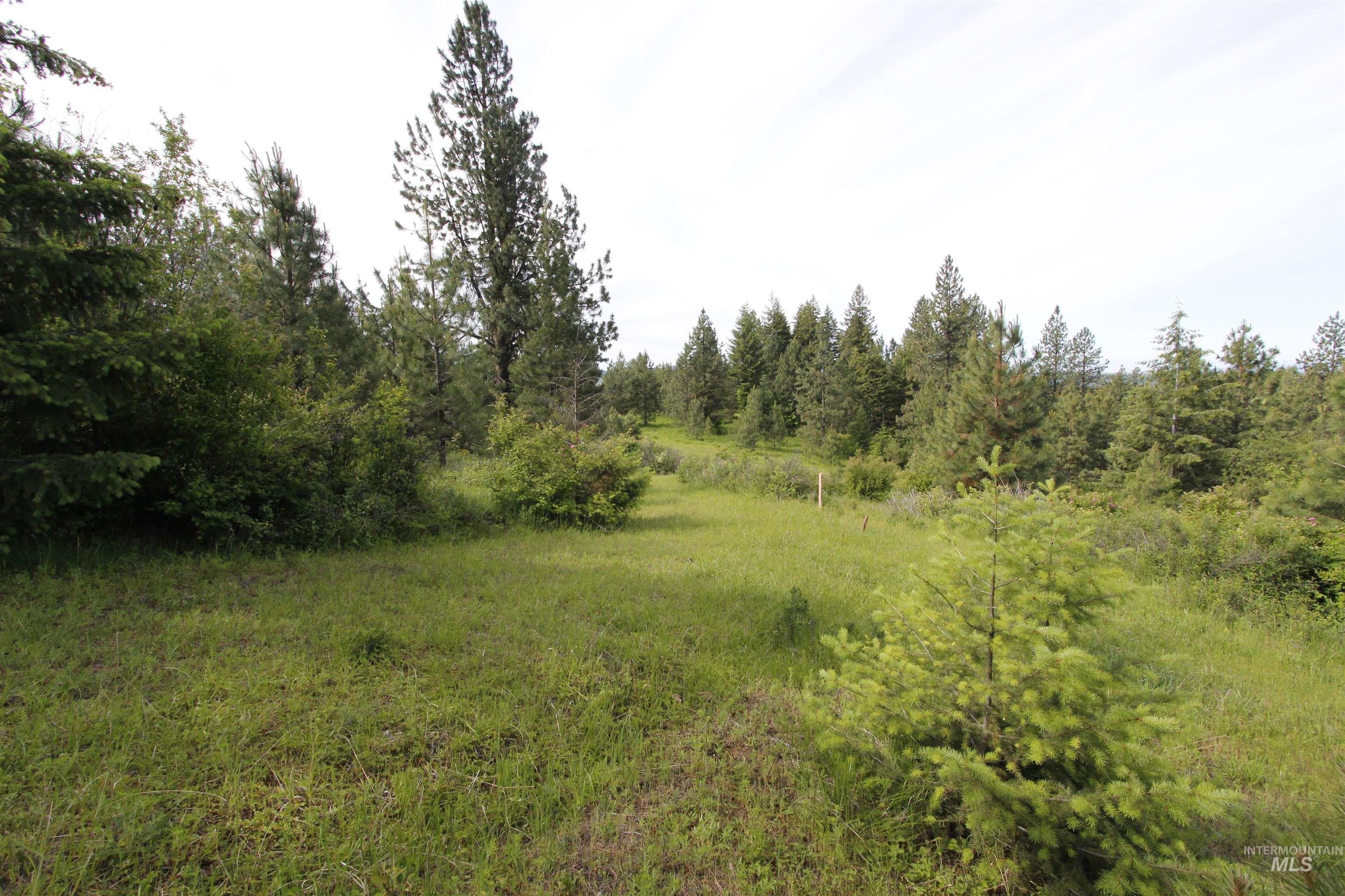 Tbd Smokey Bear Ln Property Photo 7