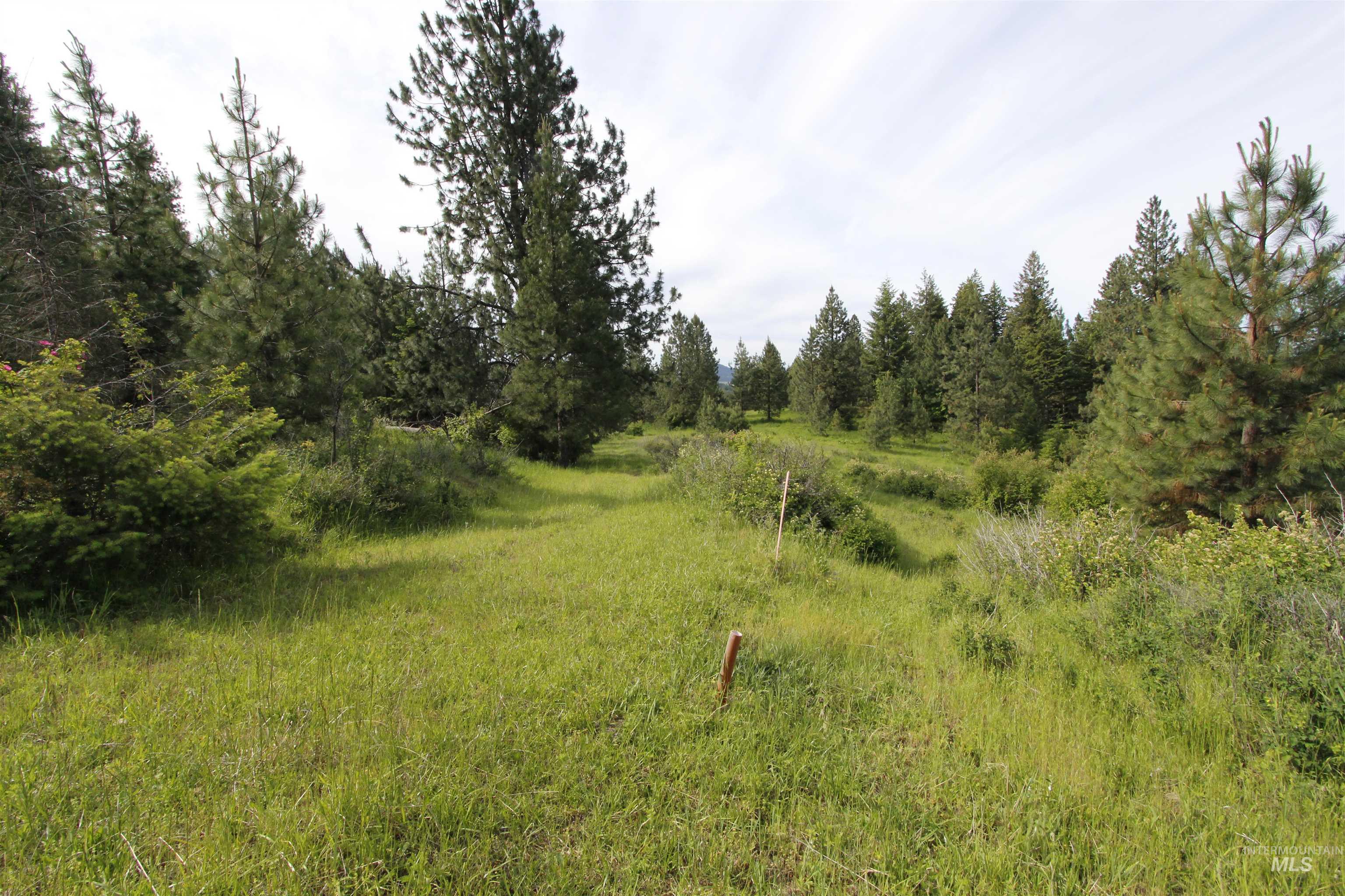 Tbd Smokey Bear Ln Property Photo 8
