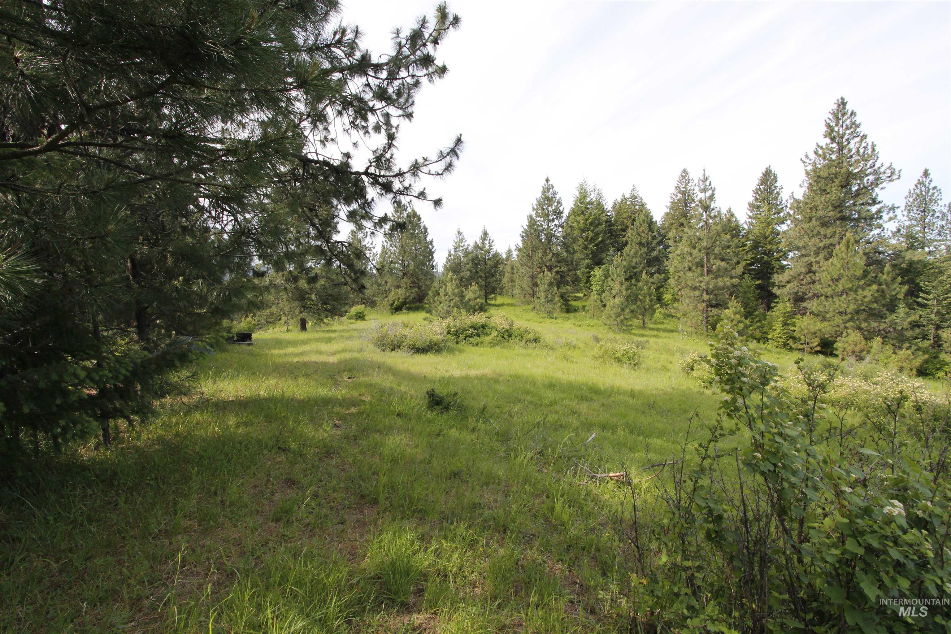 Tbd Smokey Bear Ln Property Photo 9