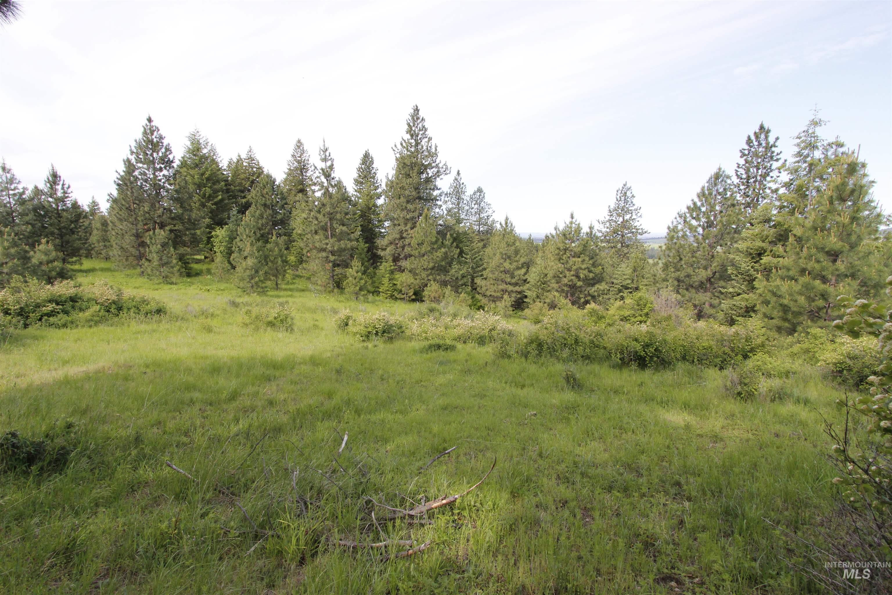 Tbd Smokey Bear Ln Property Photo 10