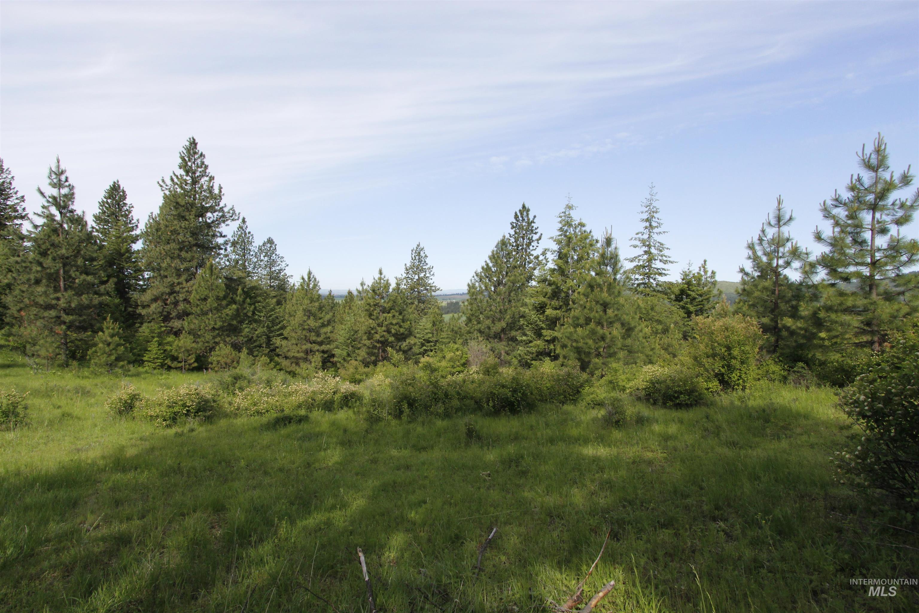 Tbd Smokey Bear Ln Property Photo 11