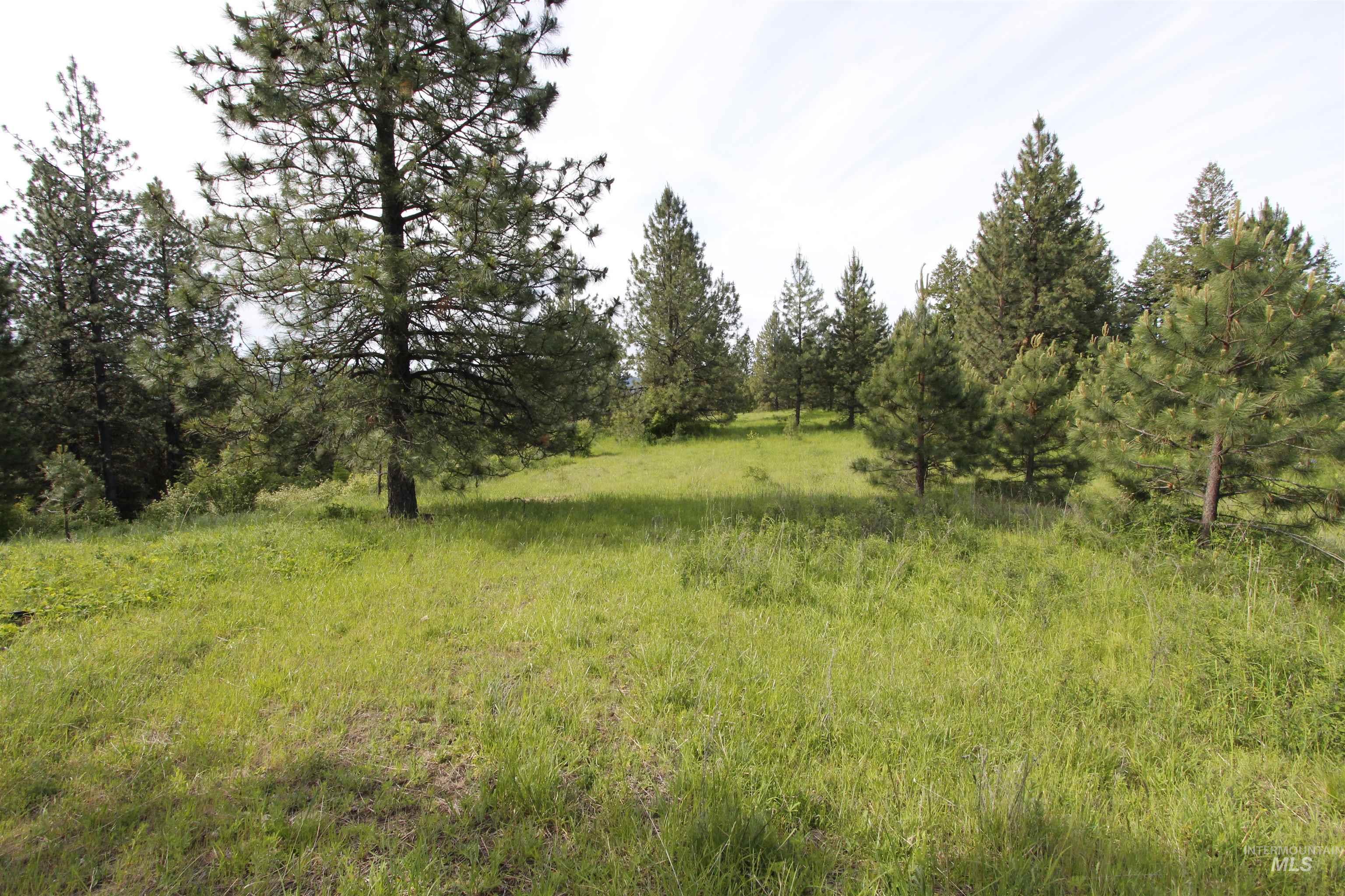 Tbd Smokey Bear Ln Property Photo 12