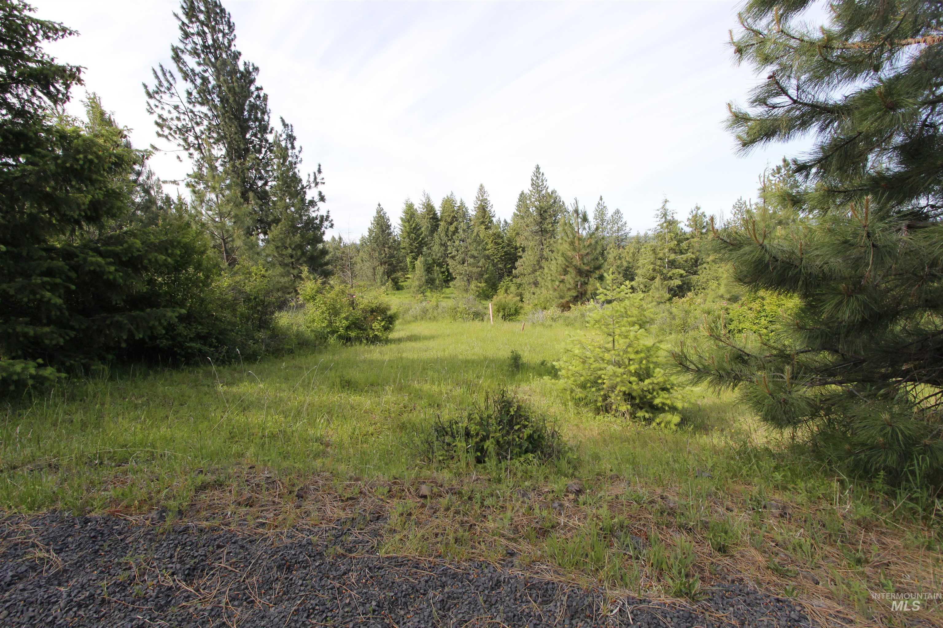 Tbd Smokey Bear Ln Property Photo 14