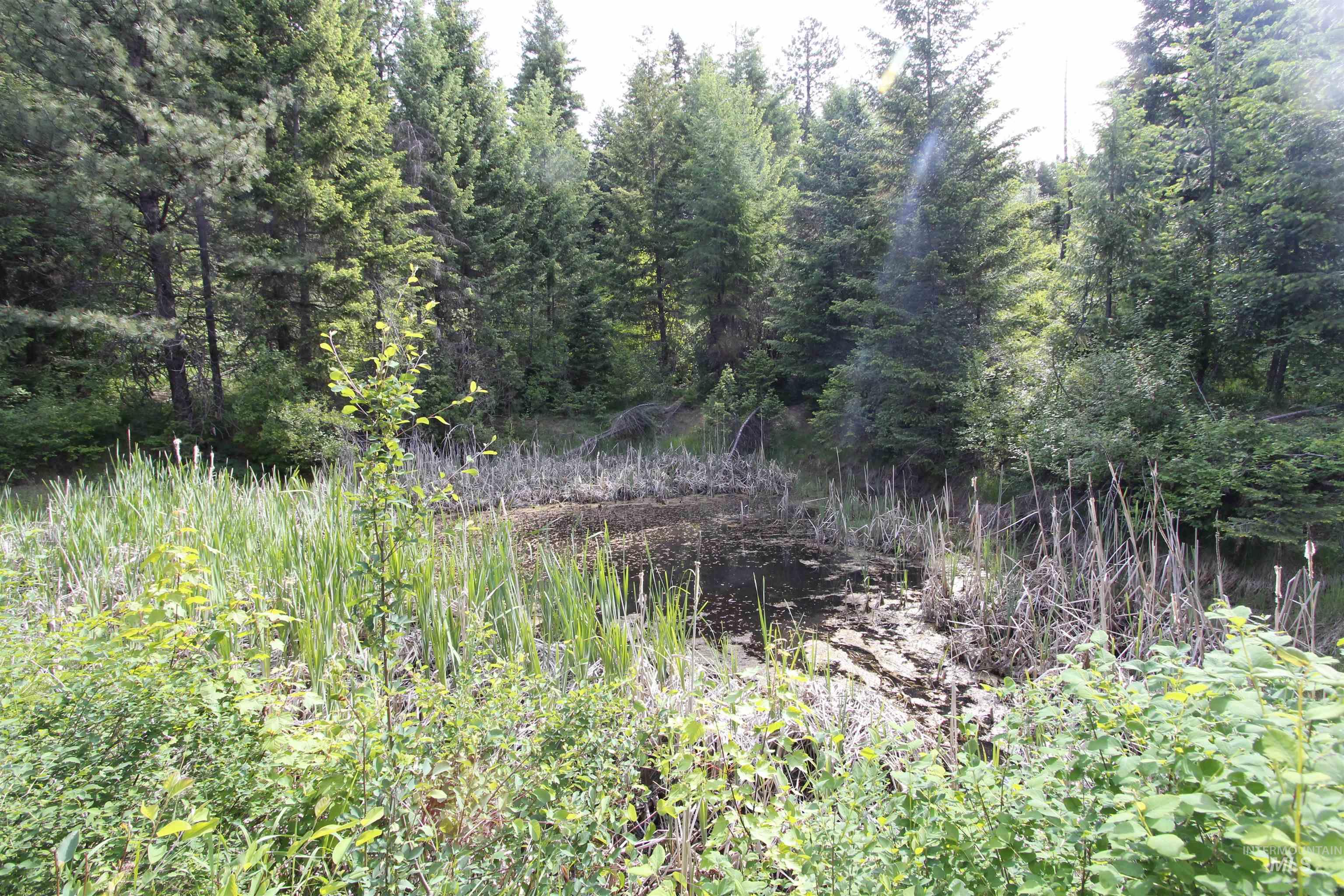 Tbd Smokey Bear Ln Property Photo 15