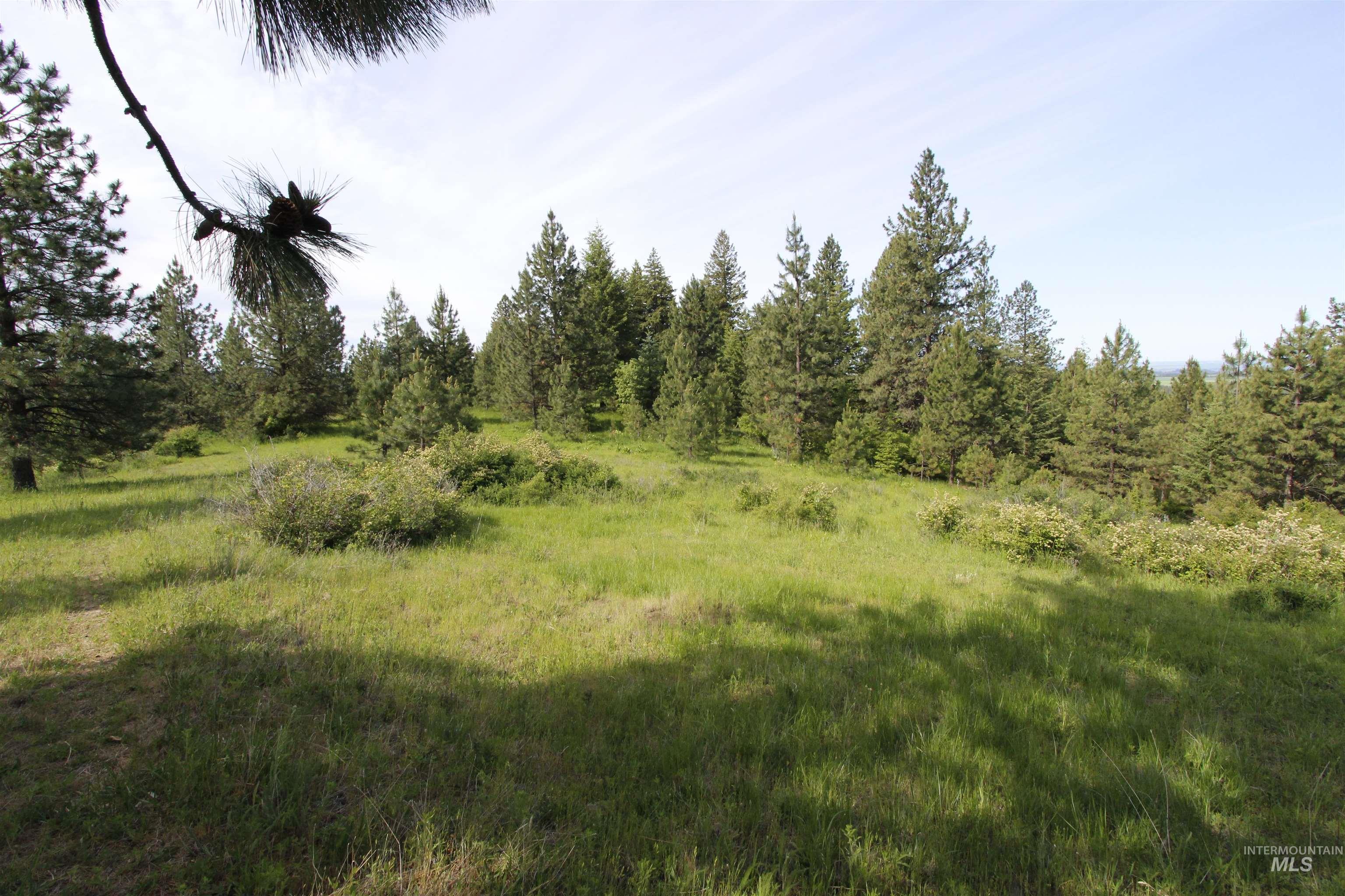 Tbd Smokey Bear Ln Property Photo 16
