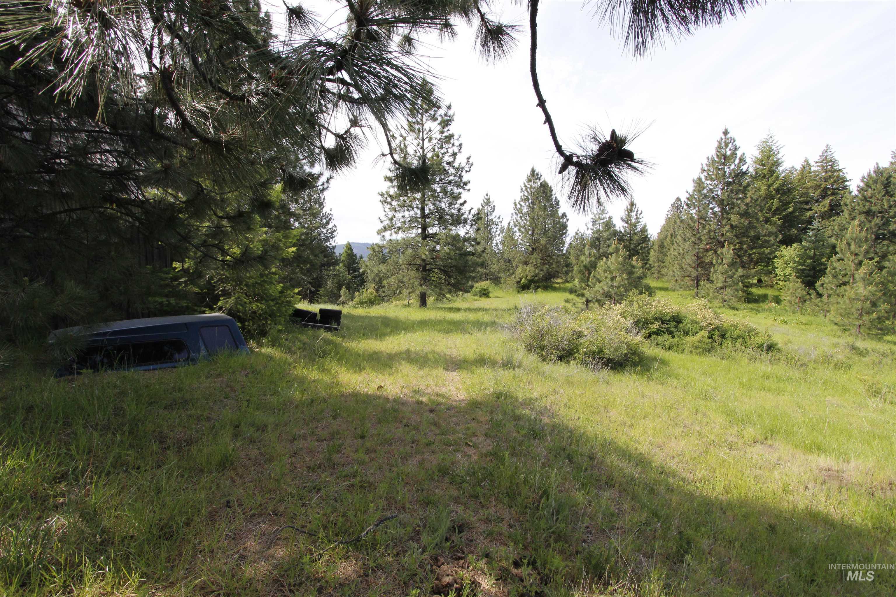 Tbd Smokey Bear Ln Property Photo 17