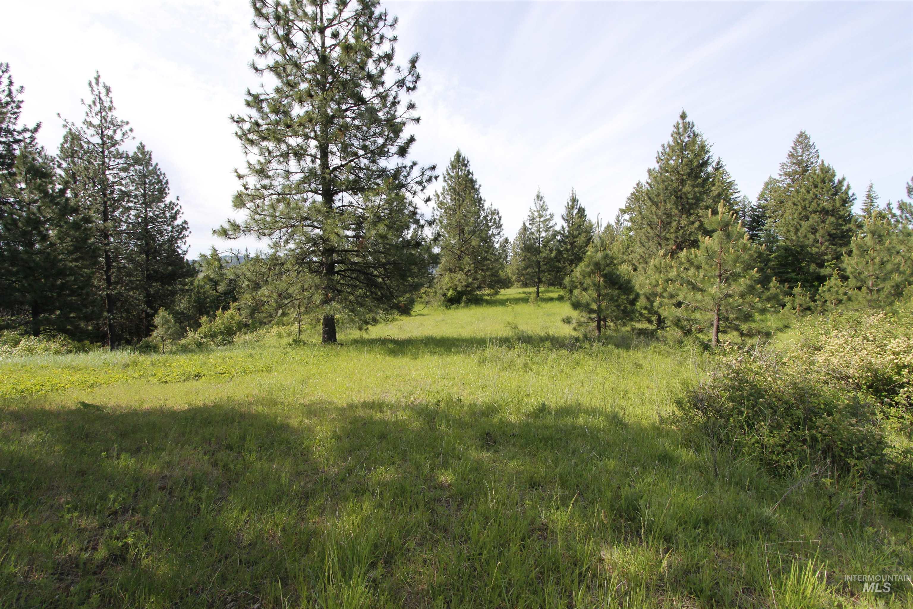 Tbd Smokey Bear Ln Property Photo 18