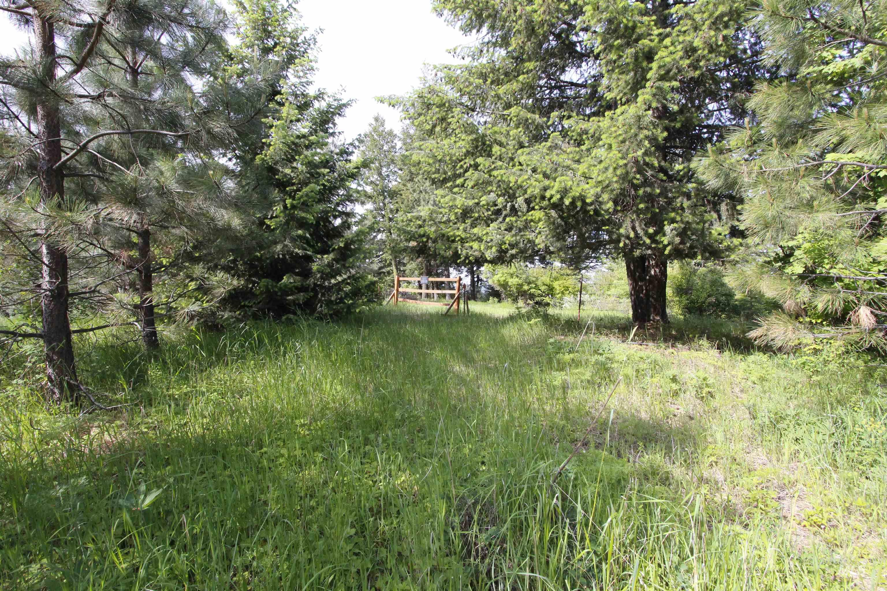 Tbd Smokey Bear Ln Property Photo 19