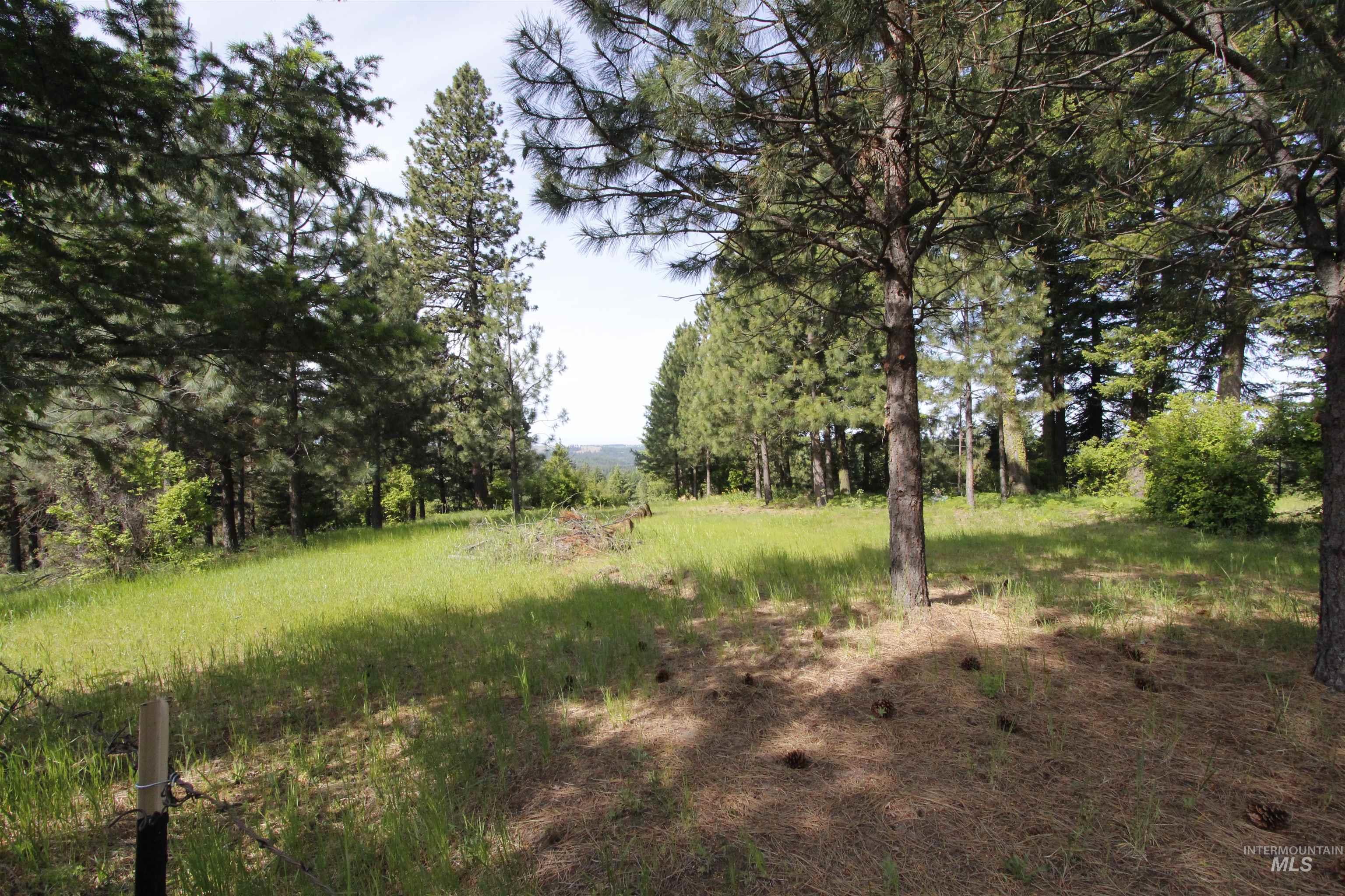 Tbd Smokey Bear Ln Property Photo 20