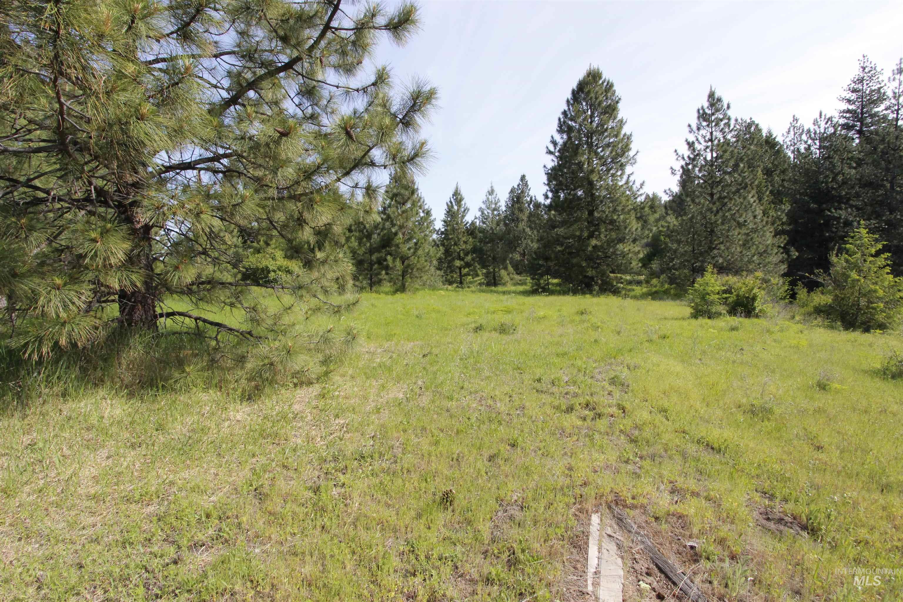 Tbd Smokey Bear Ln Property Photo 21