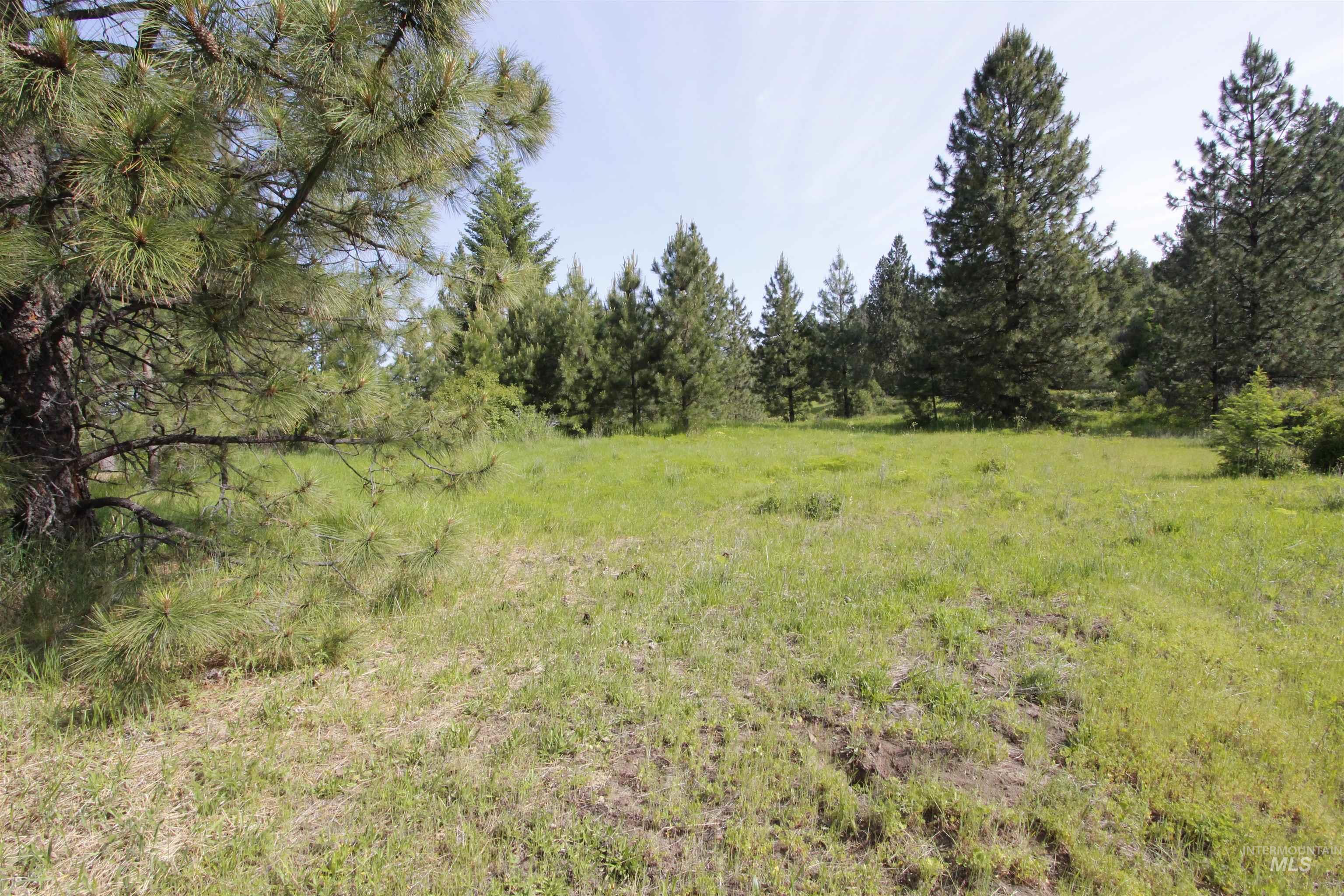 Tbd Smokey Bear Ln Property Photo 23