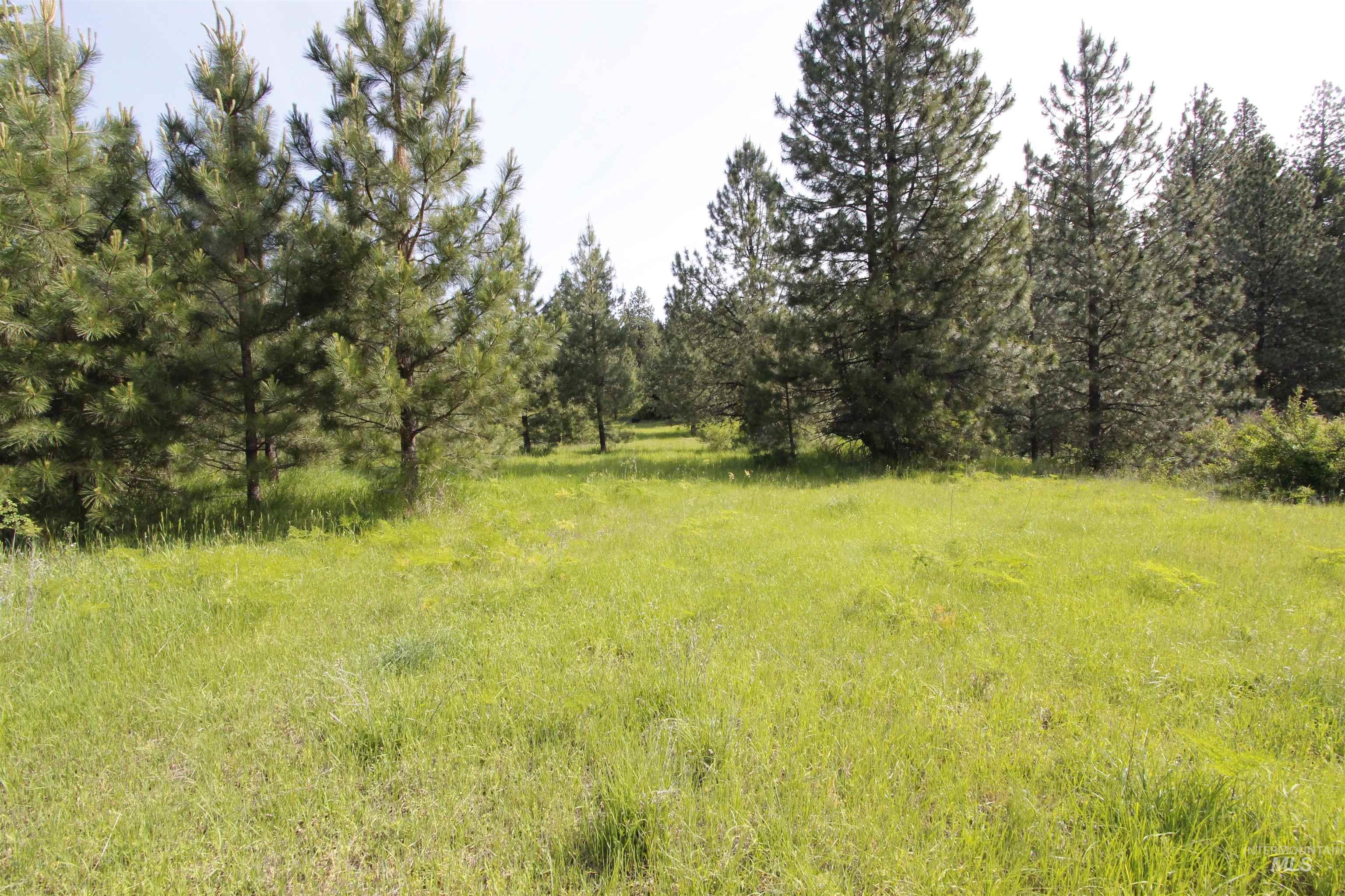 Tbd Smokey Bear Ln Property Photo 24