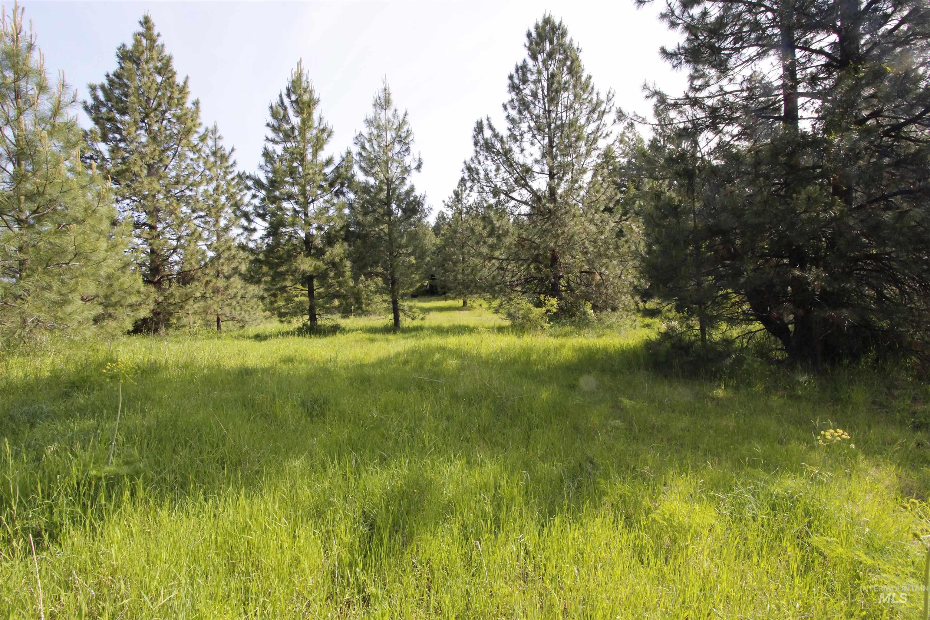 Tbd Smokey Bear Ln Property Photo 25