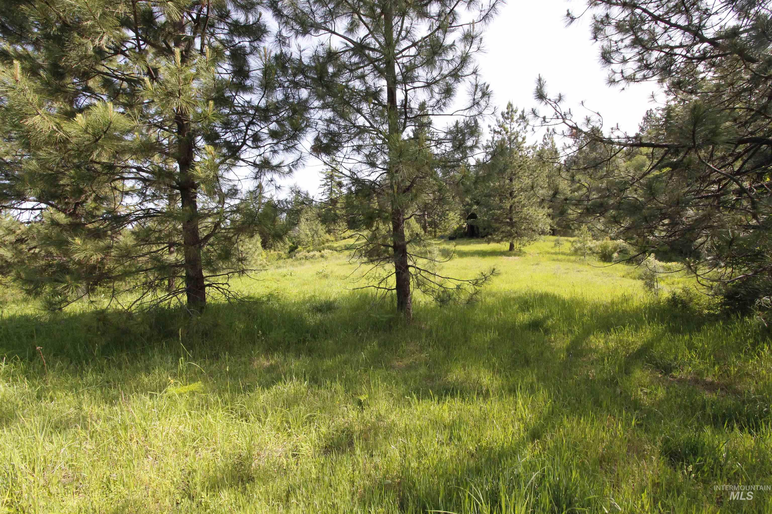 Tbd Smokey Bear Ln Property Photo 26