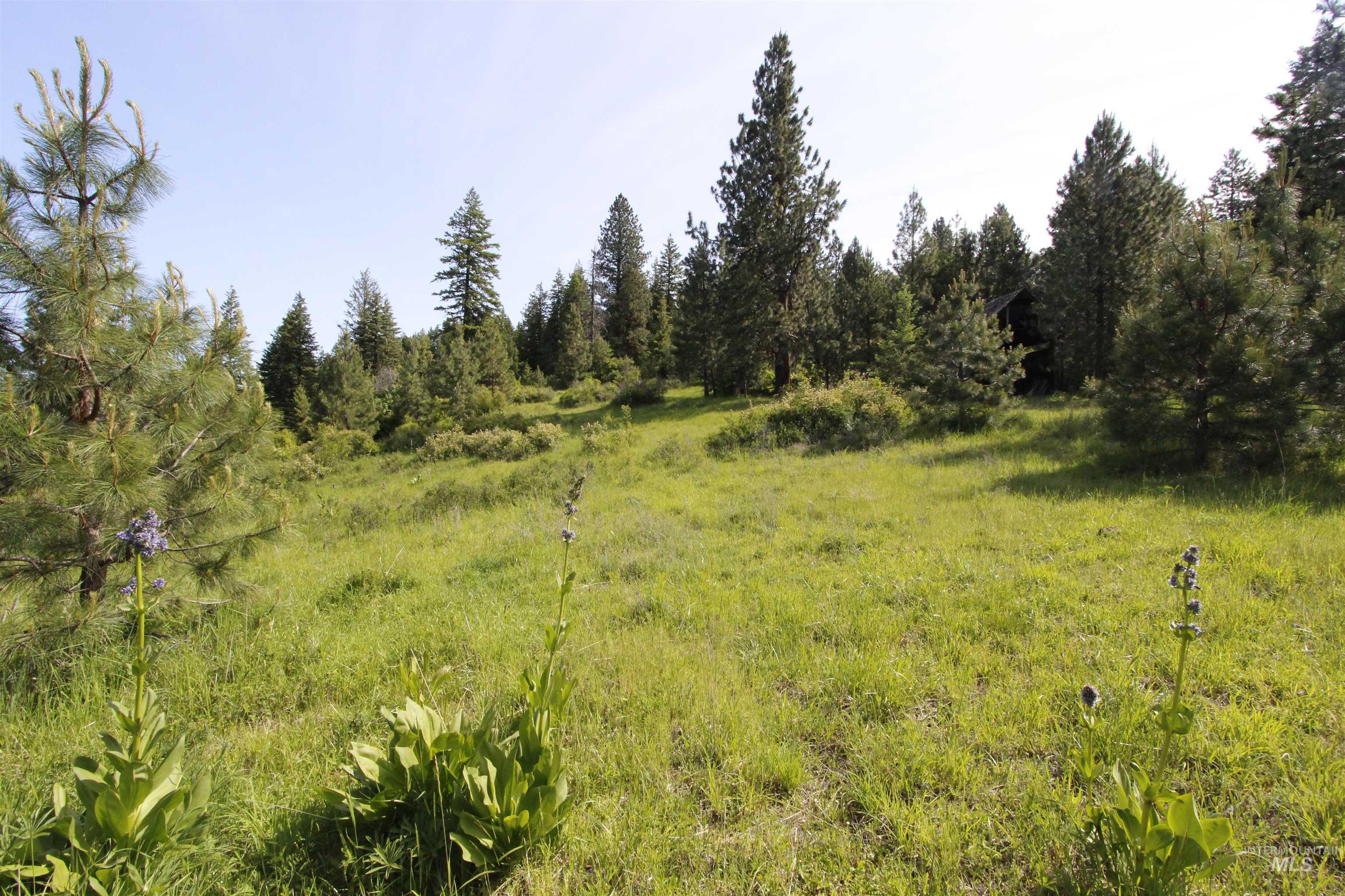 Tbd Smokey Bear Ln Property Photo 27