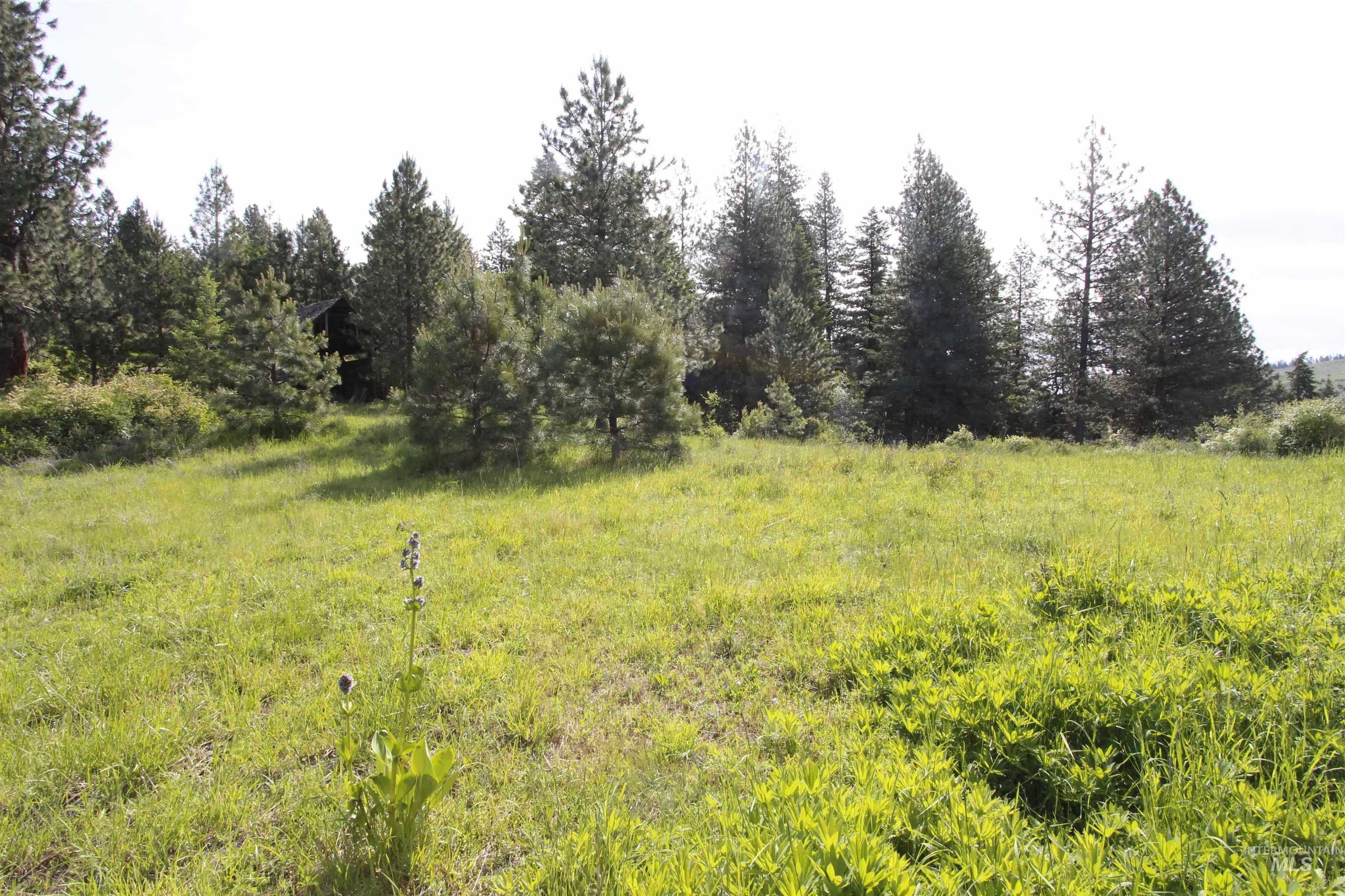 Tbd Smokey Bear Ln Property Photo 28