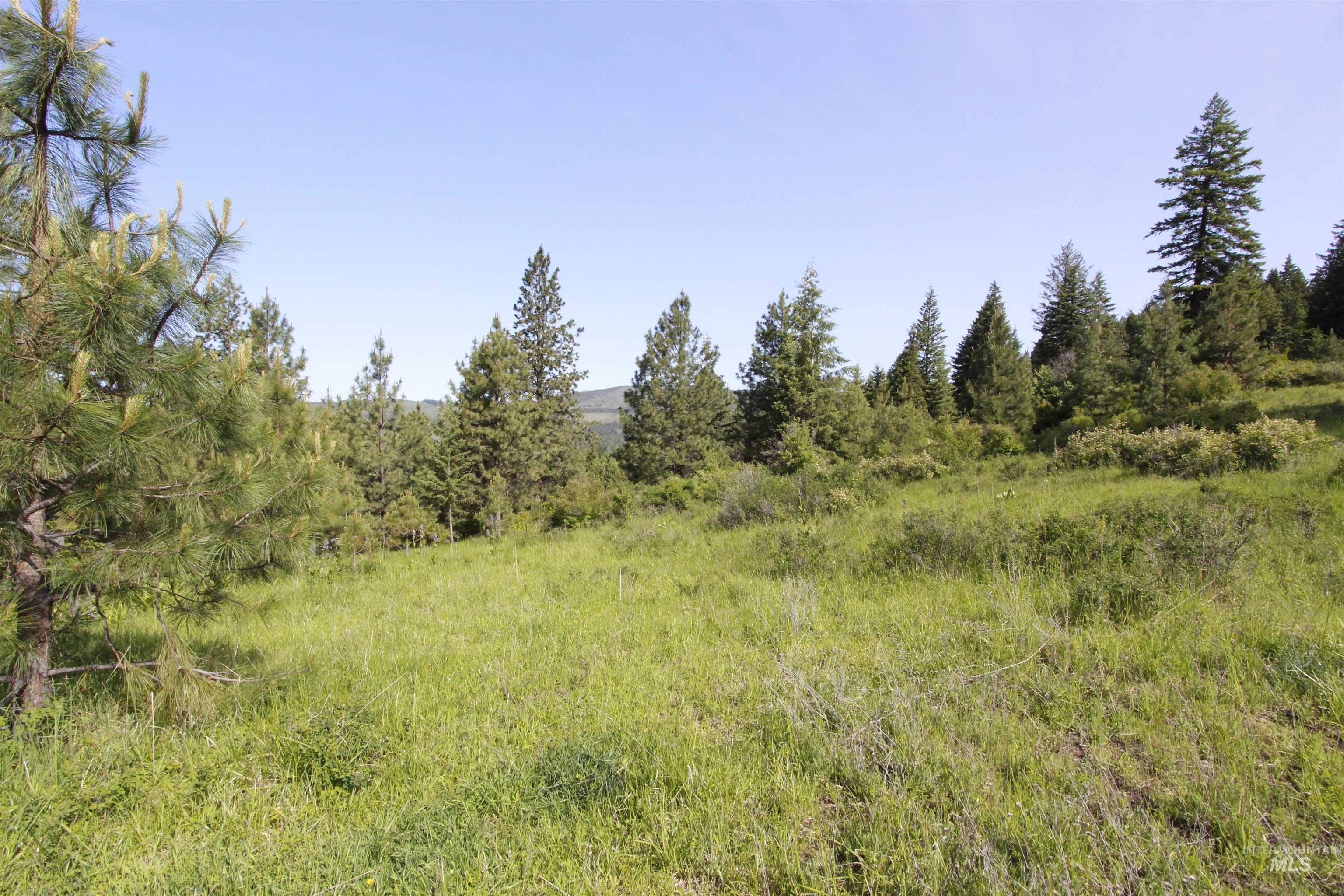Tbd Smokey Bear Ln Property Photo 29