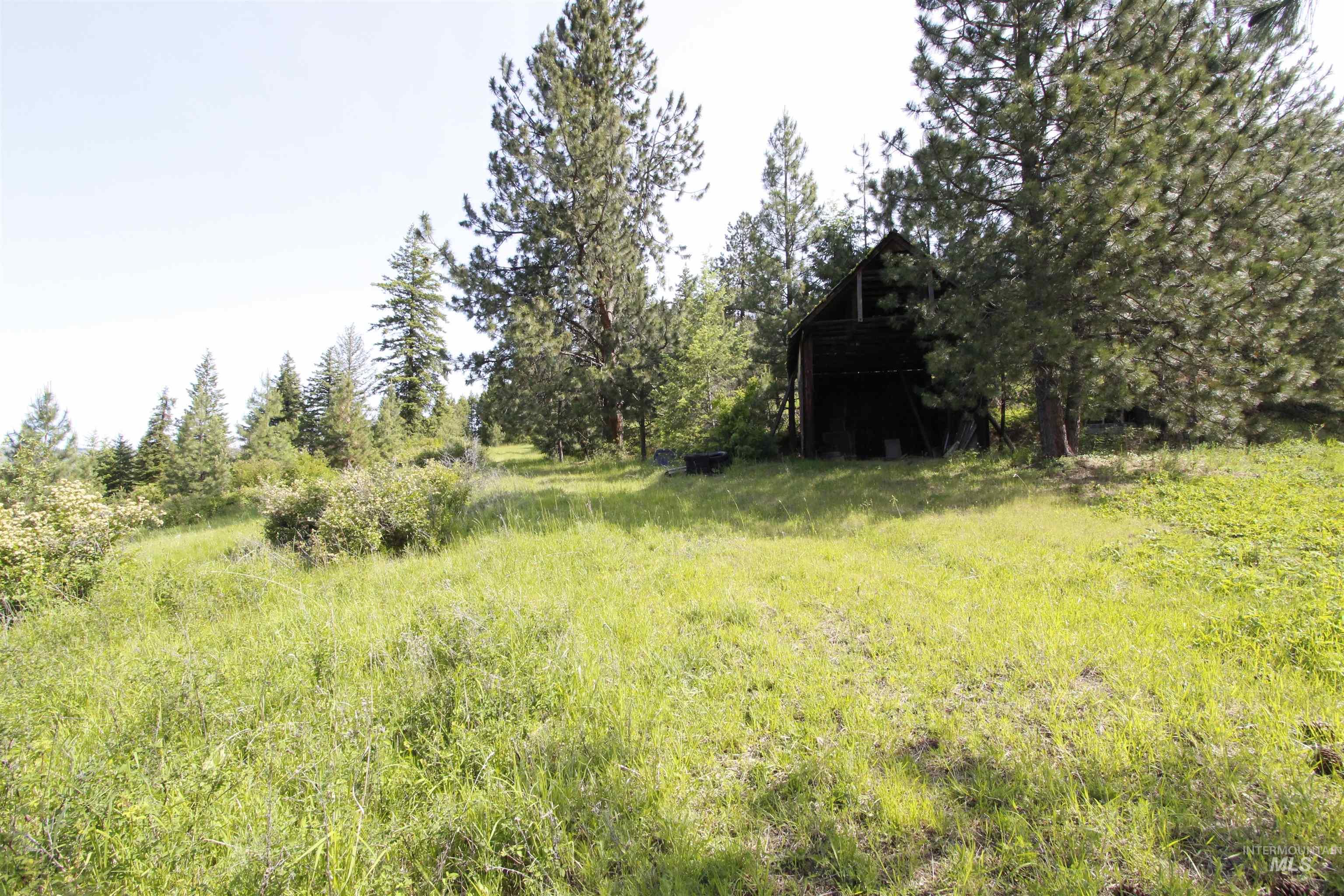 Tbd Smokey Bear Ln Property Photo 31