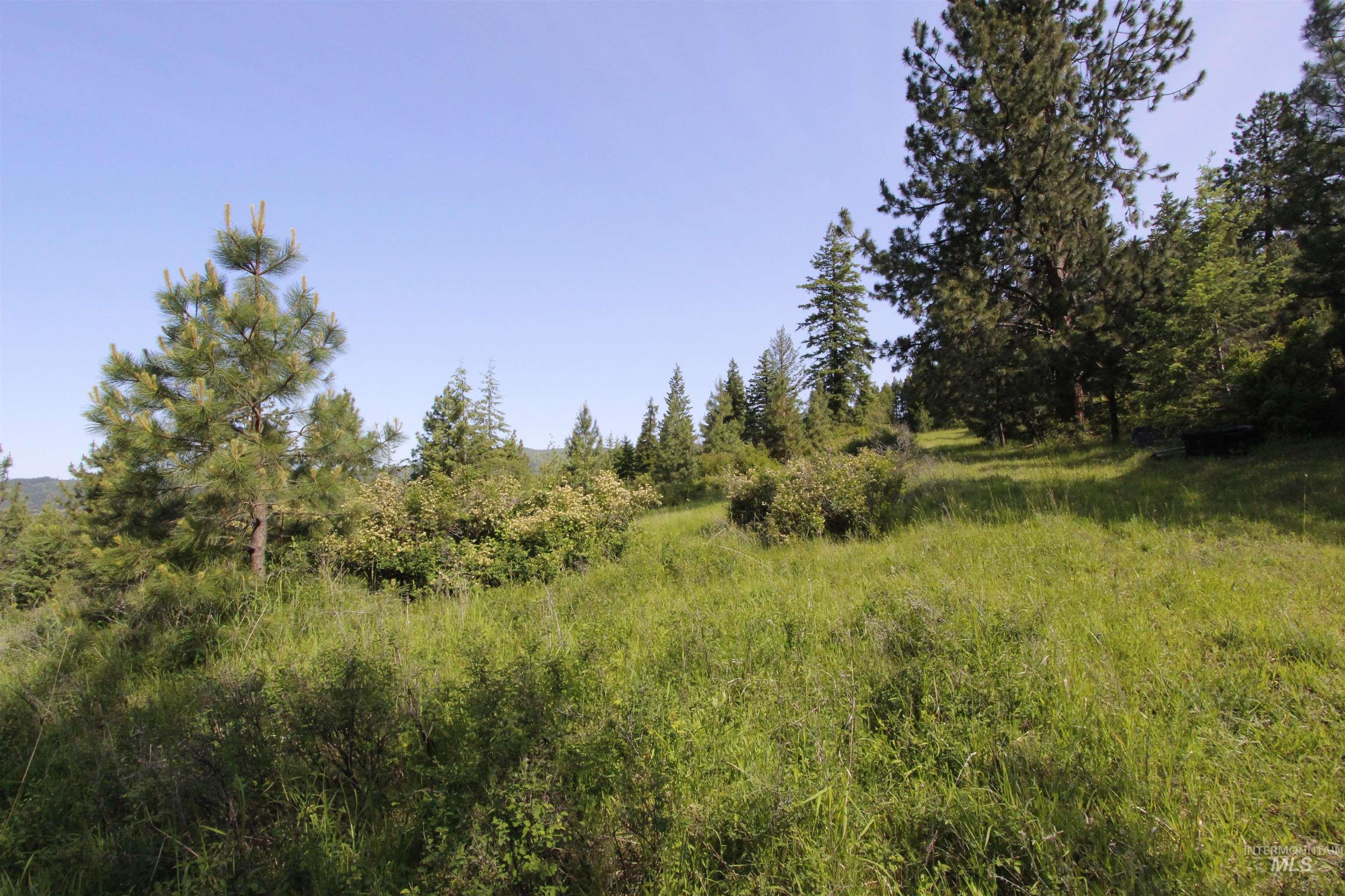 Tbd Smokey Bear Ln Property Photo 32