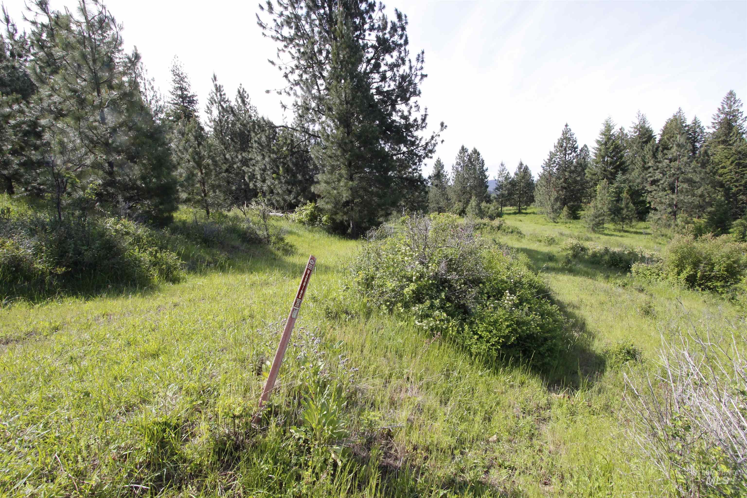 Tbd Smokey Bear Ln Property Photo 33
