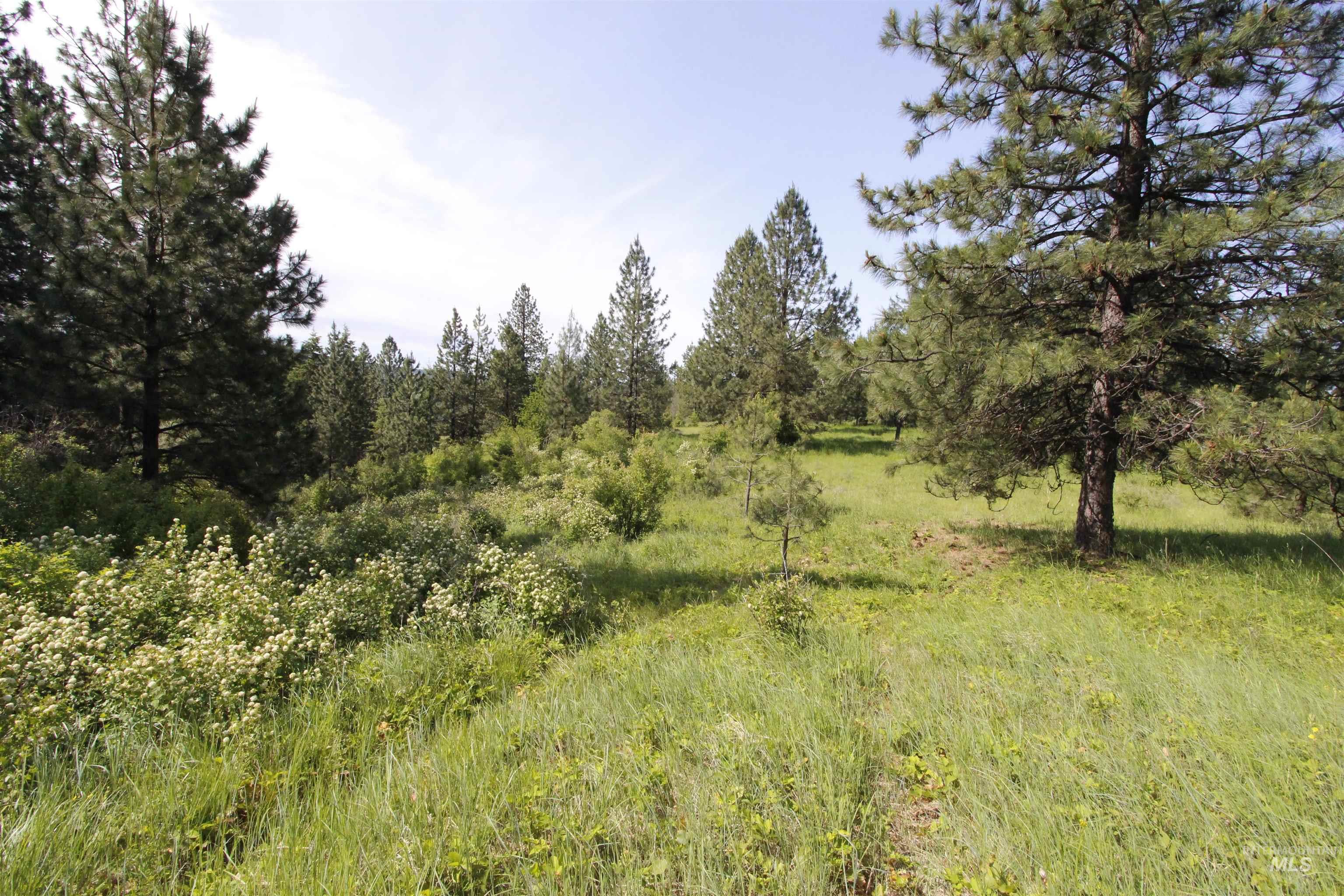 Tbd Smokey Bear Ln Property Photo 34