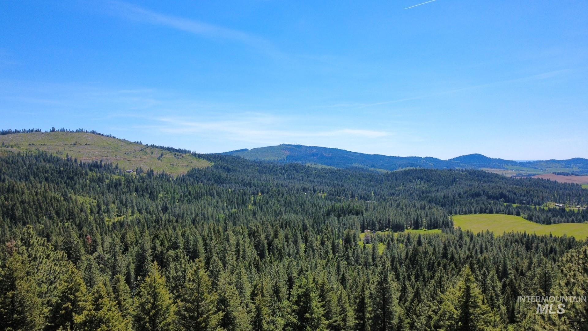 Tbd Smokey Bear Ln Property Photo 36